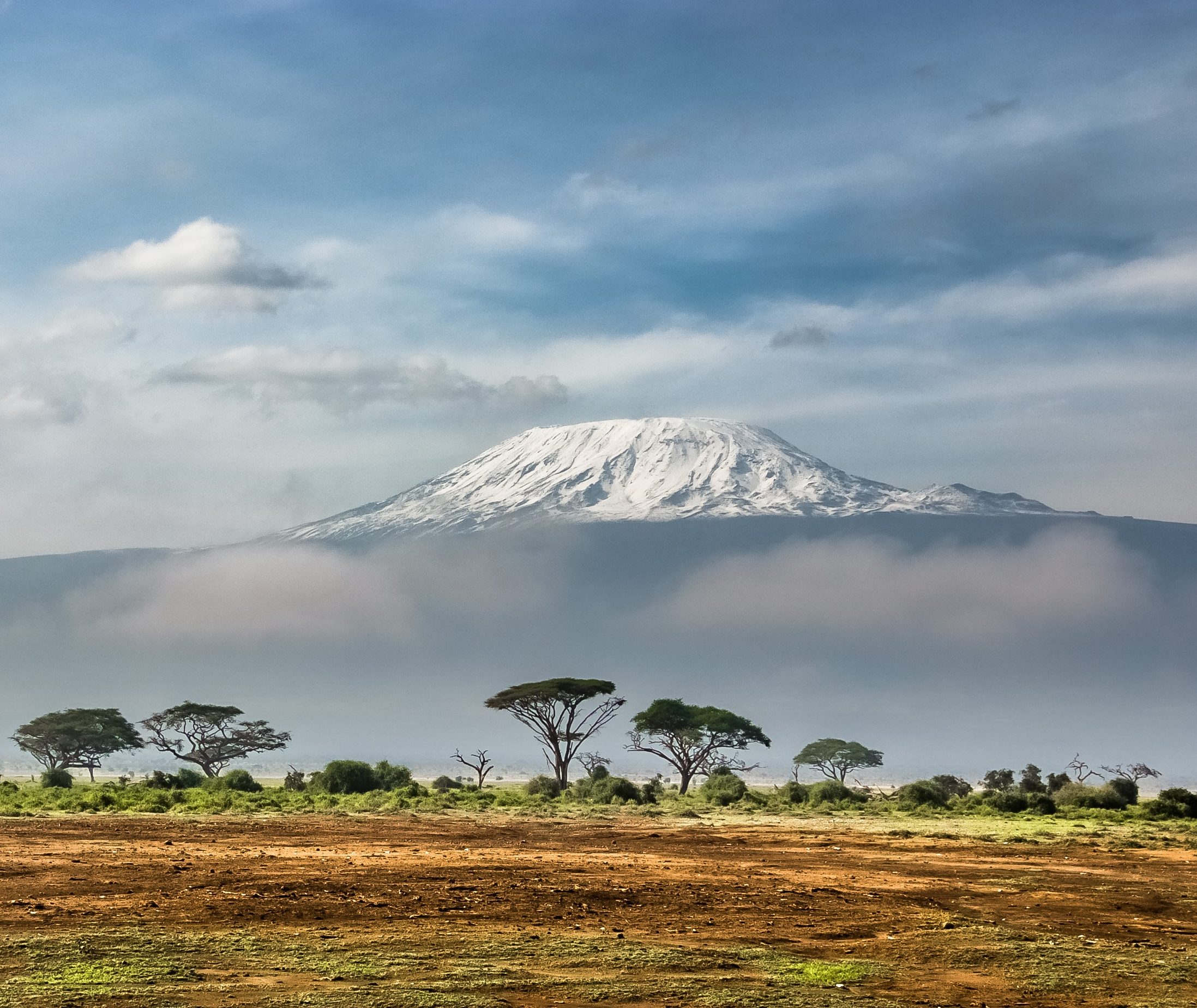 Kilimanjaro