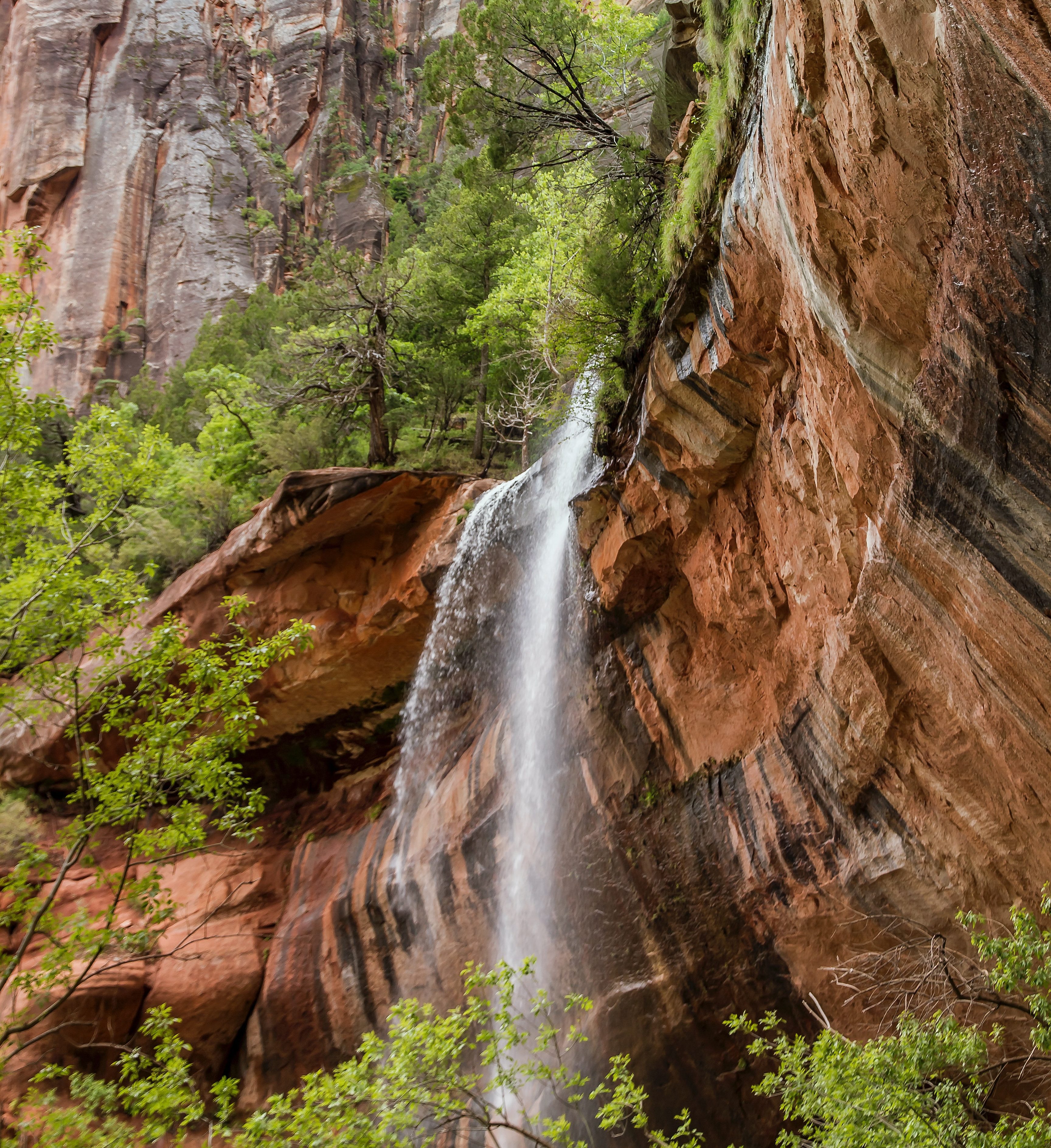 Emerald Pool Trail Zion National Park