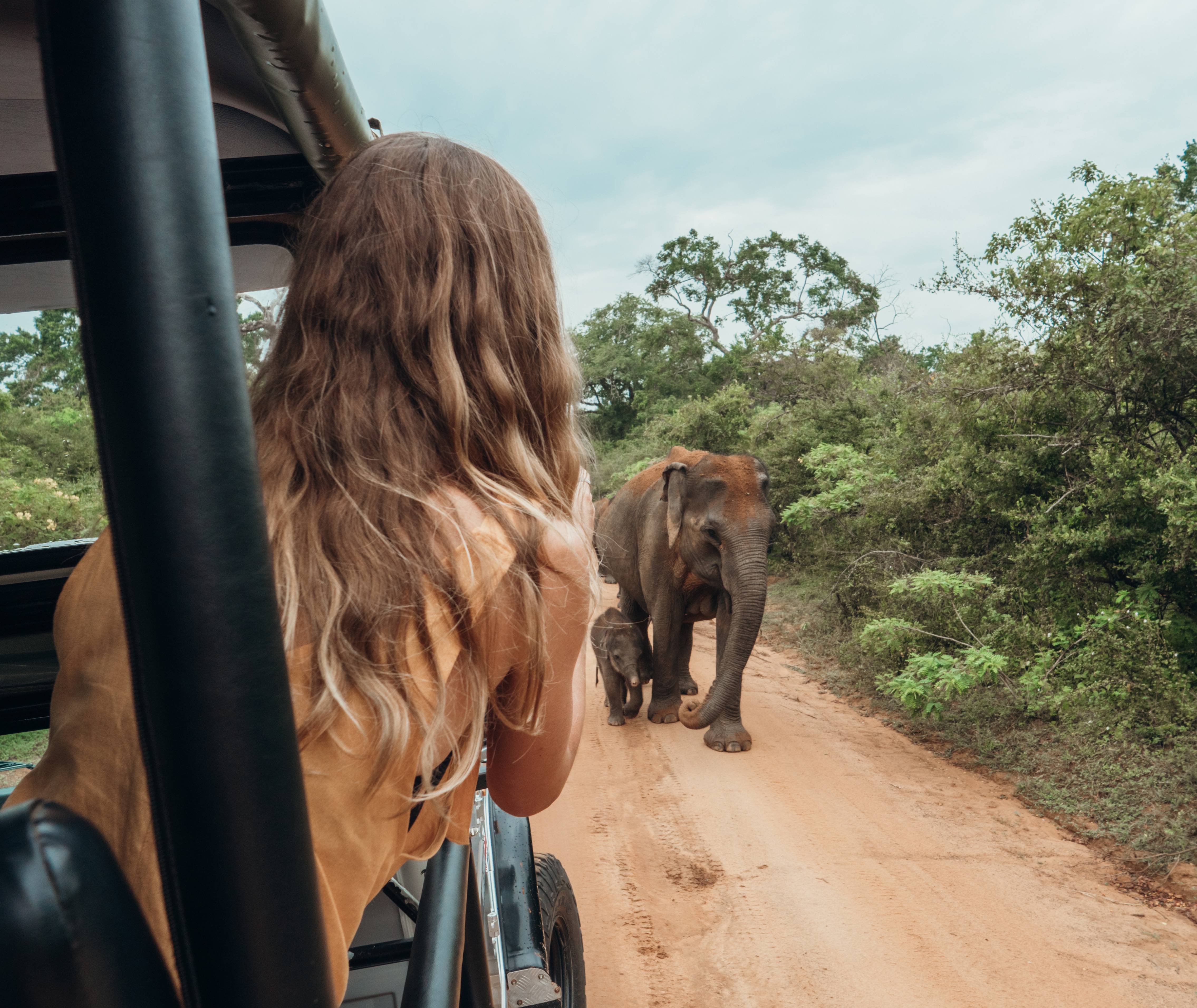Op safari in Zuid-Afrika