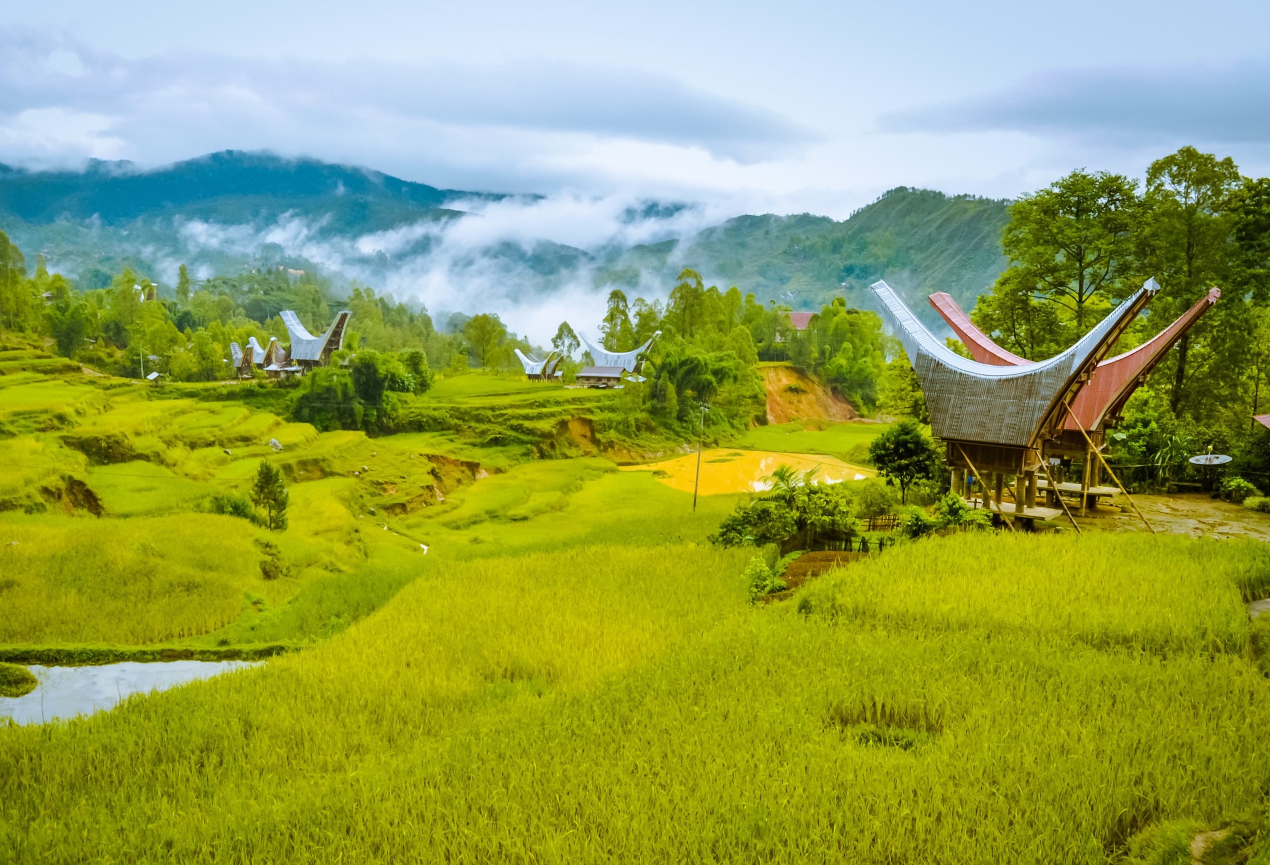 8 dagen privétour Indonesië Verborgen plekjes Zuid-Sulawesi - 333travel