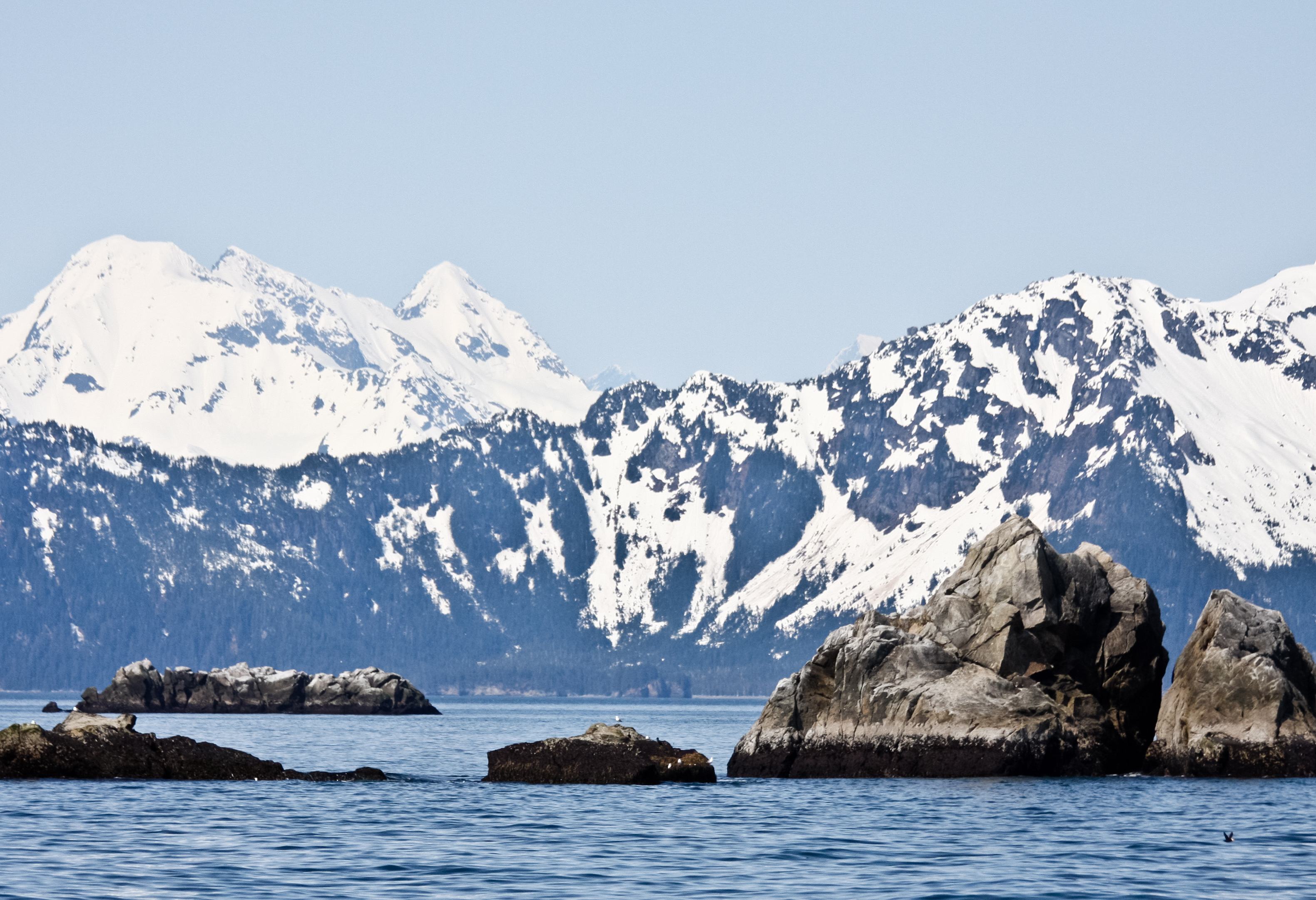 Kenai Fjords National Park Alaska