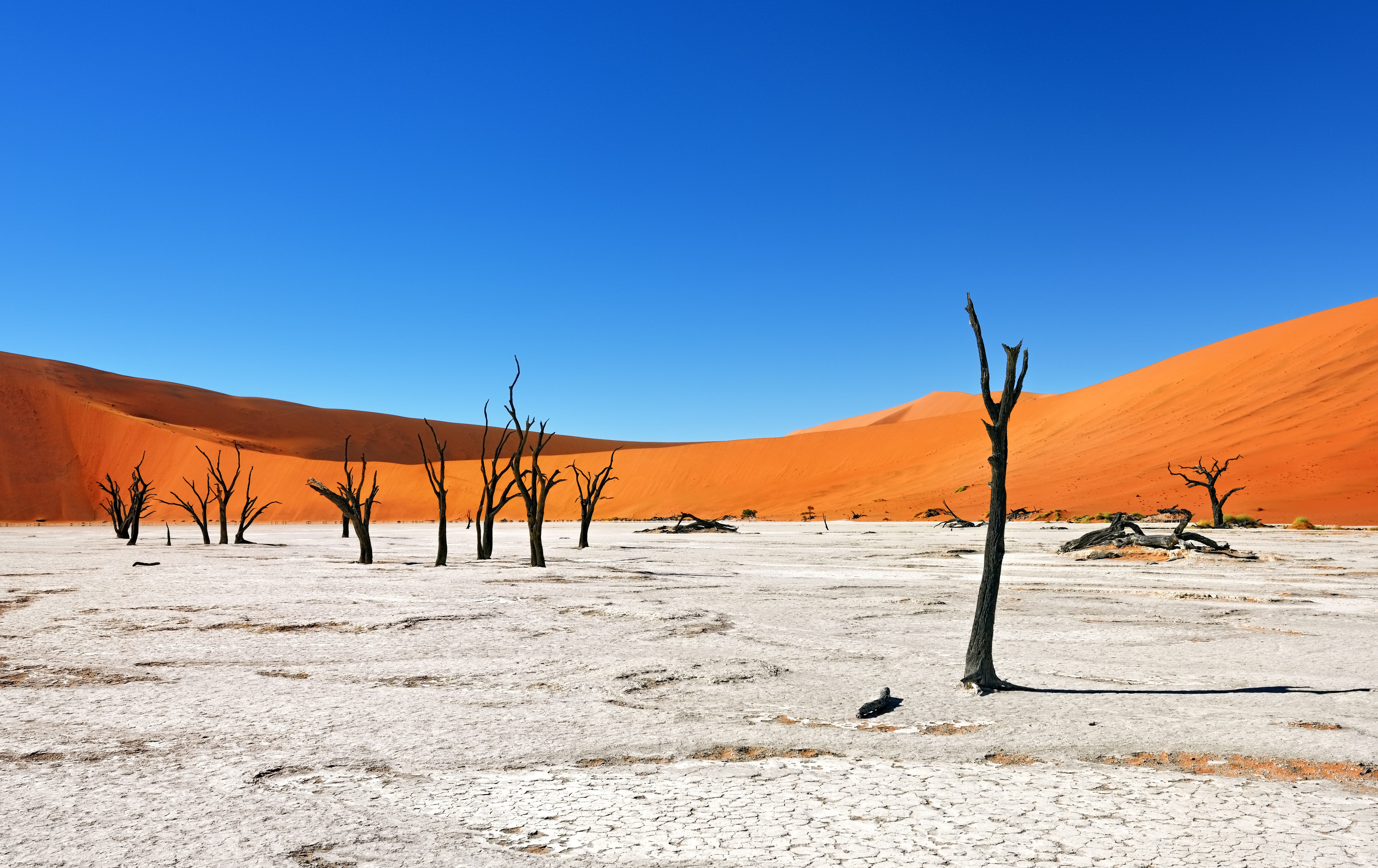 Deadvlei in Sossusvlei de Namib Desert, Namibie