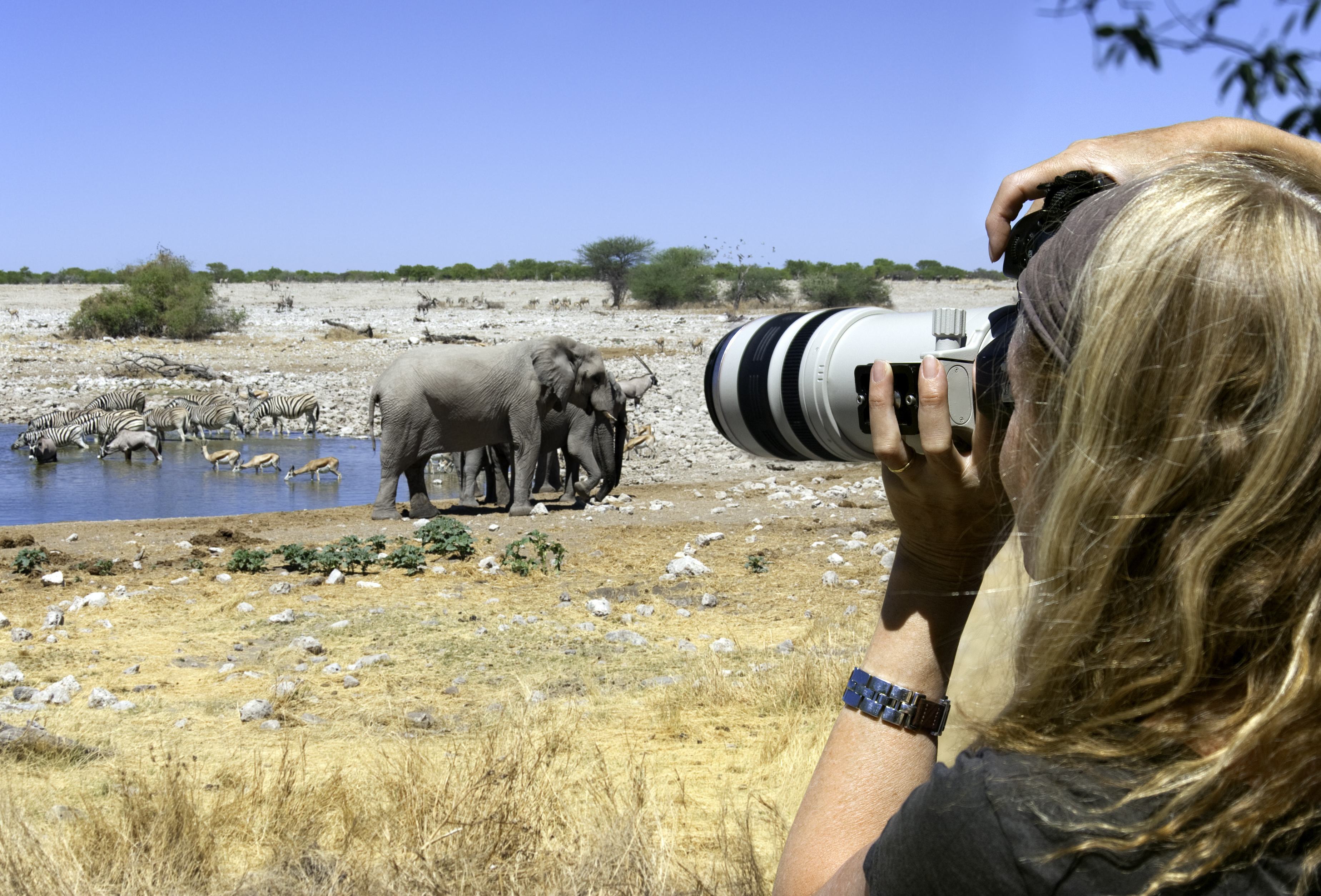 Op safari in Etosha National Park, Namibie