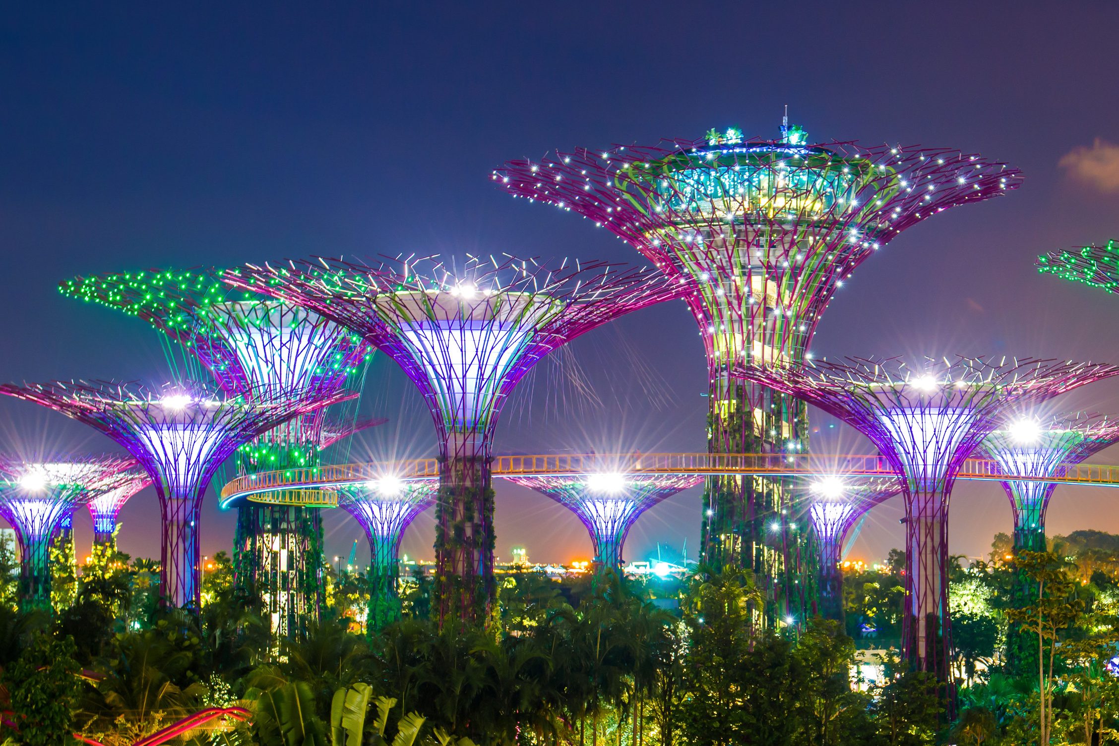 Supertrees Gardens by the Bay Singapore