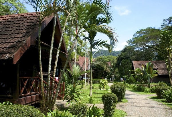 Chalets van Mutiara Taman Negara