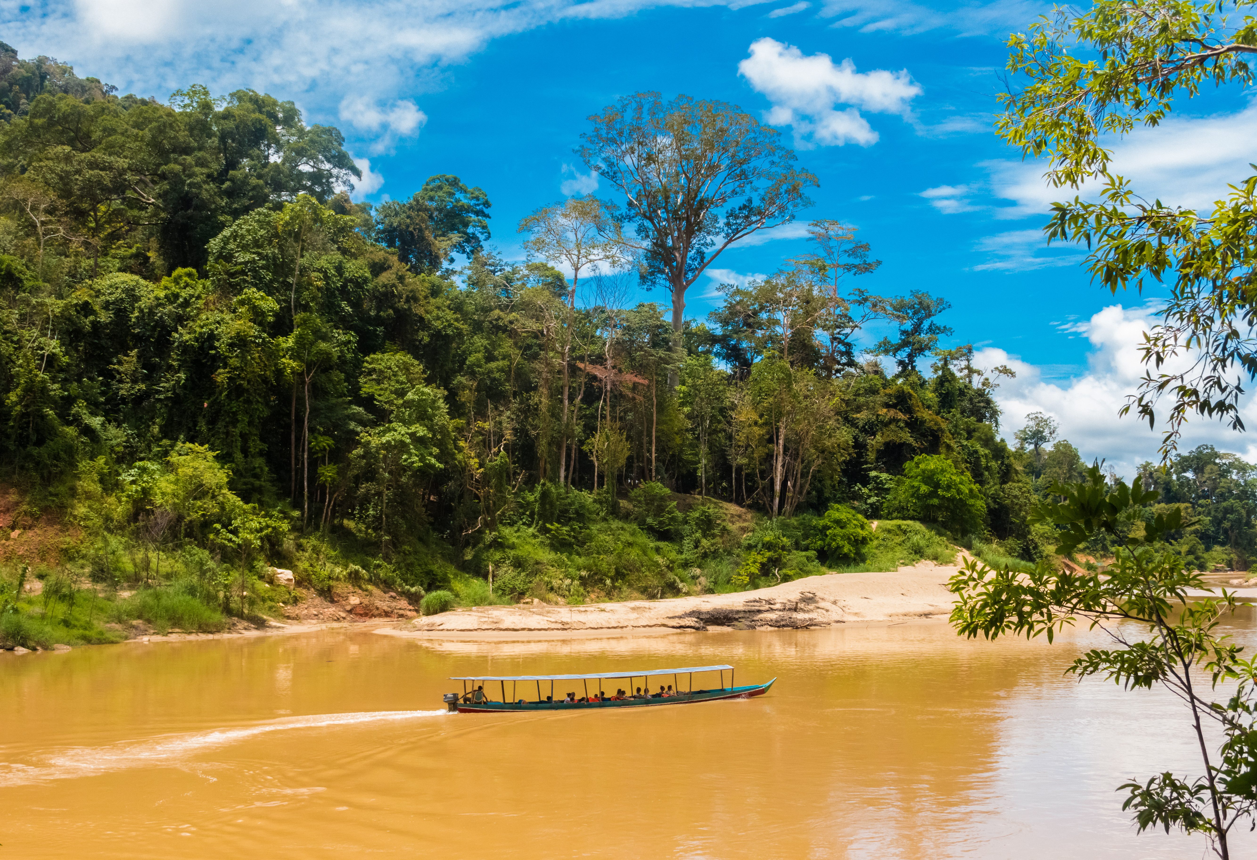 Transfer per longtailboot vanaf Mutiara Taman Negara