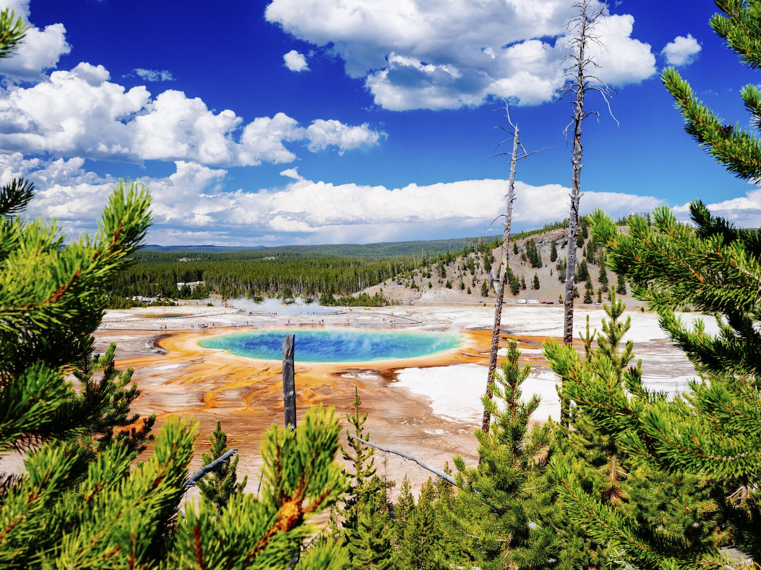 Amerika-Yellowstone-National-Park-2