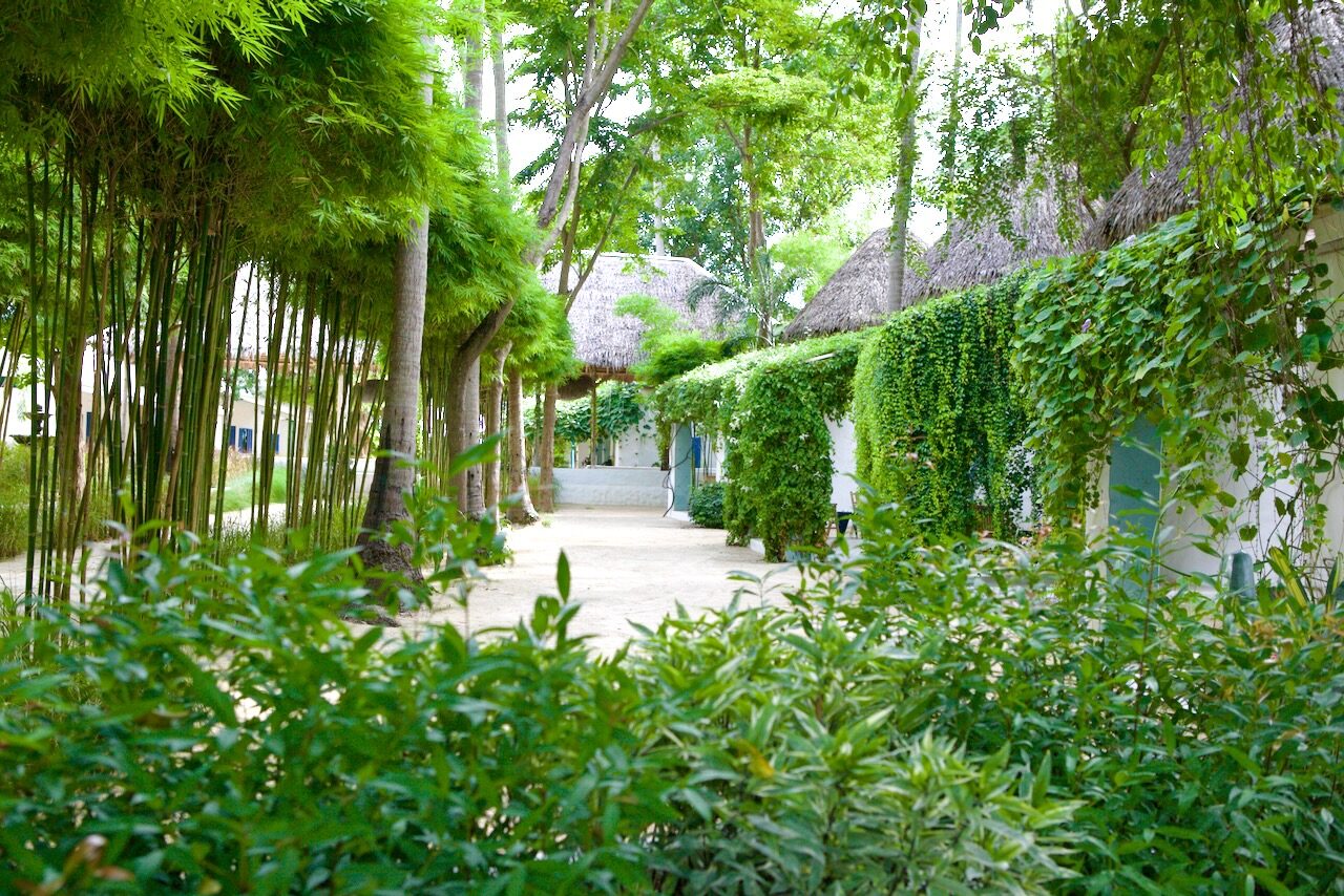 Thailand Koh Phangan Lime Soda Beachfront Resort Tuinen