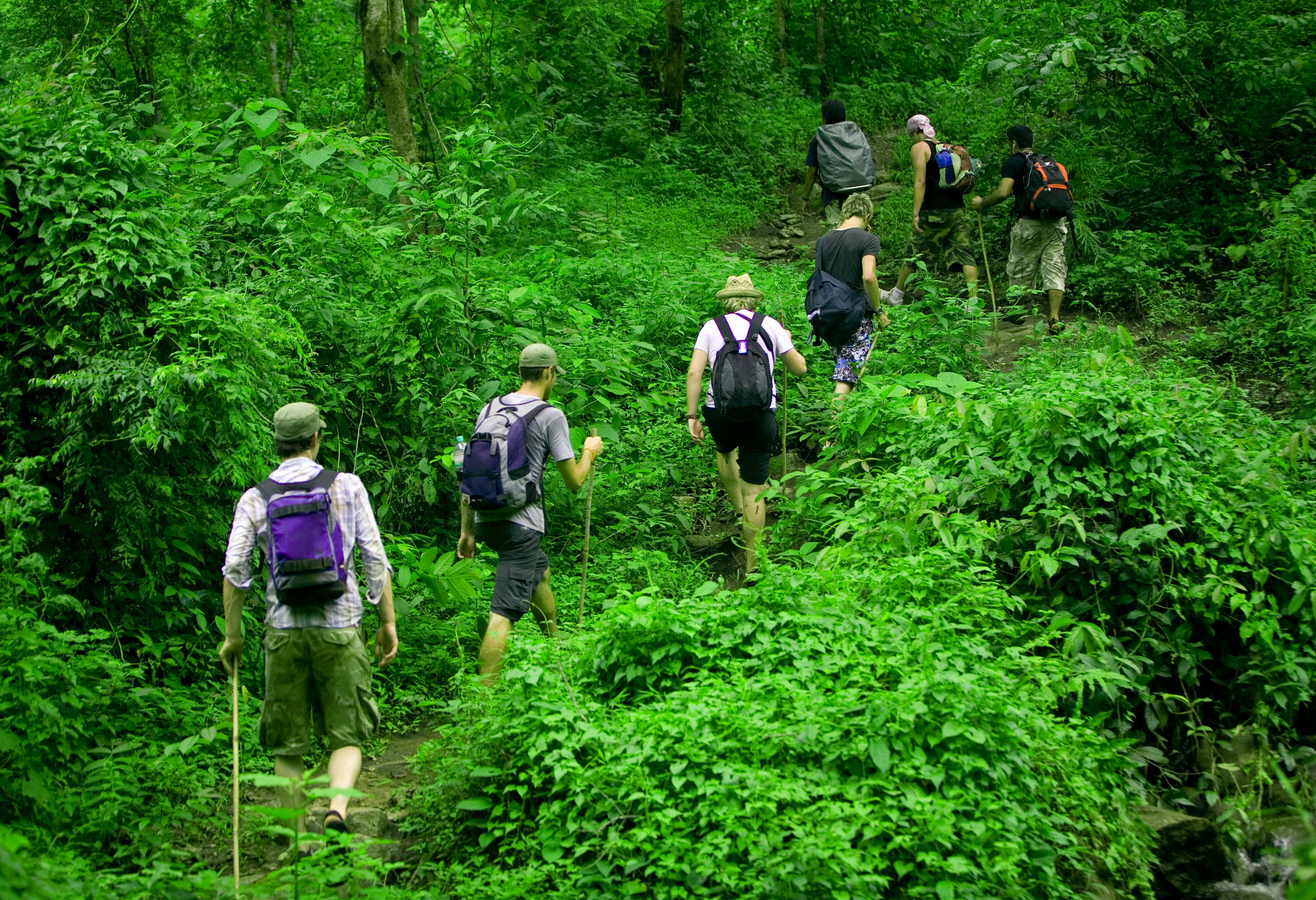 Chiang Mai jungle trekking