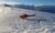 Helikoptertour IJSland
