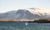 IJsland-whalewatching-reykjavik
