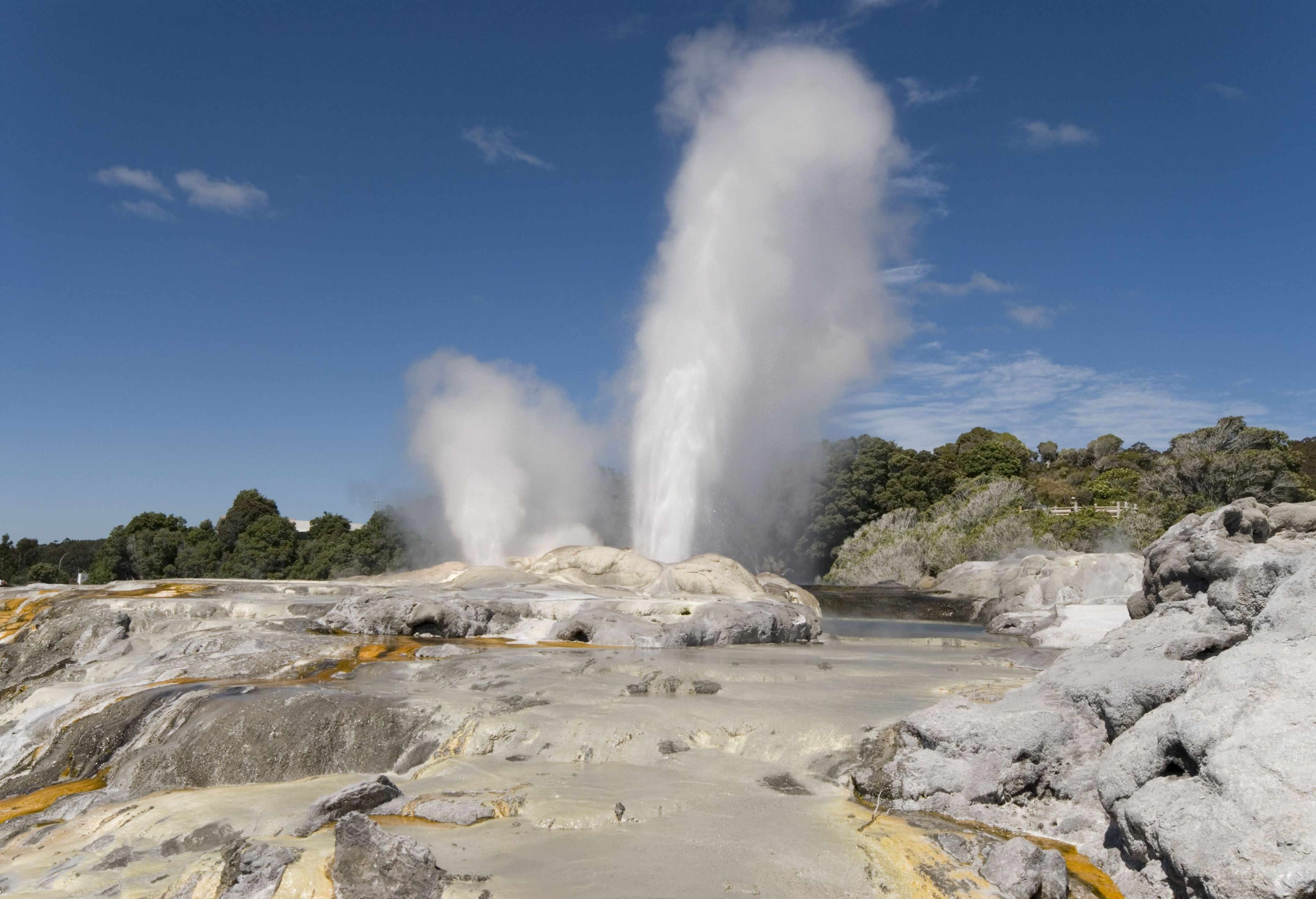 Geisers in Te Puia bij Rotorua in Nieuw-Zeeland