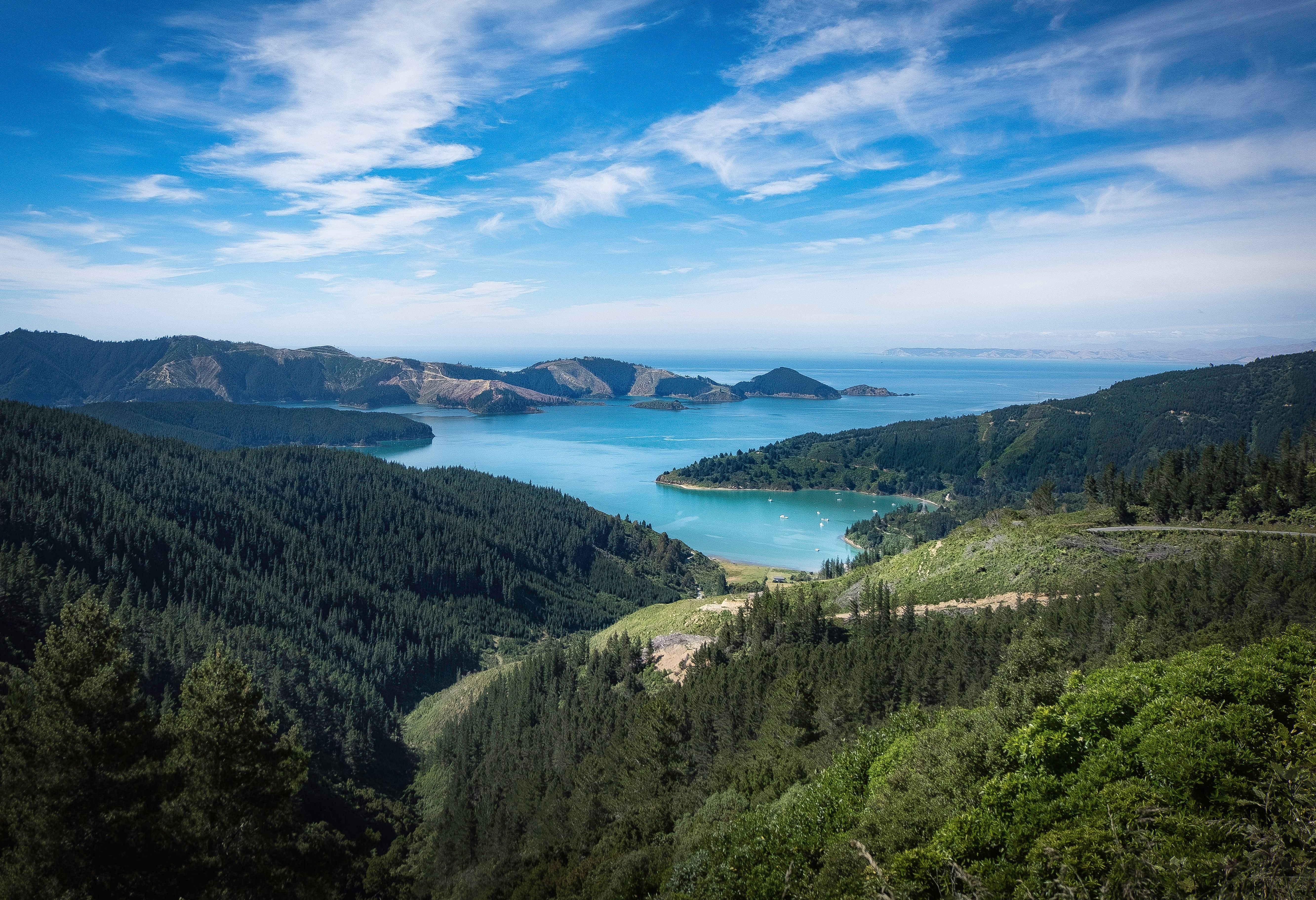 Marlborough Sounds op het Zuidereiland van Nieuw-Zeeland