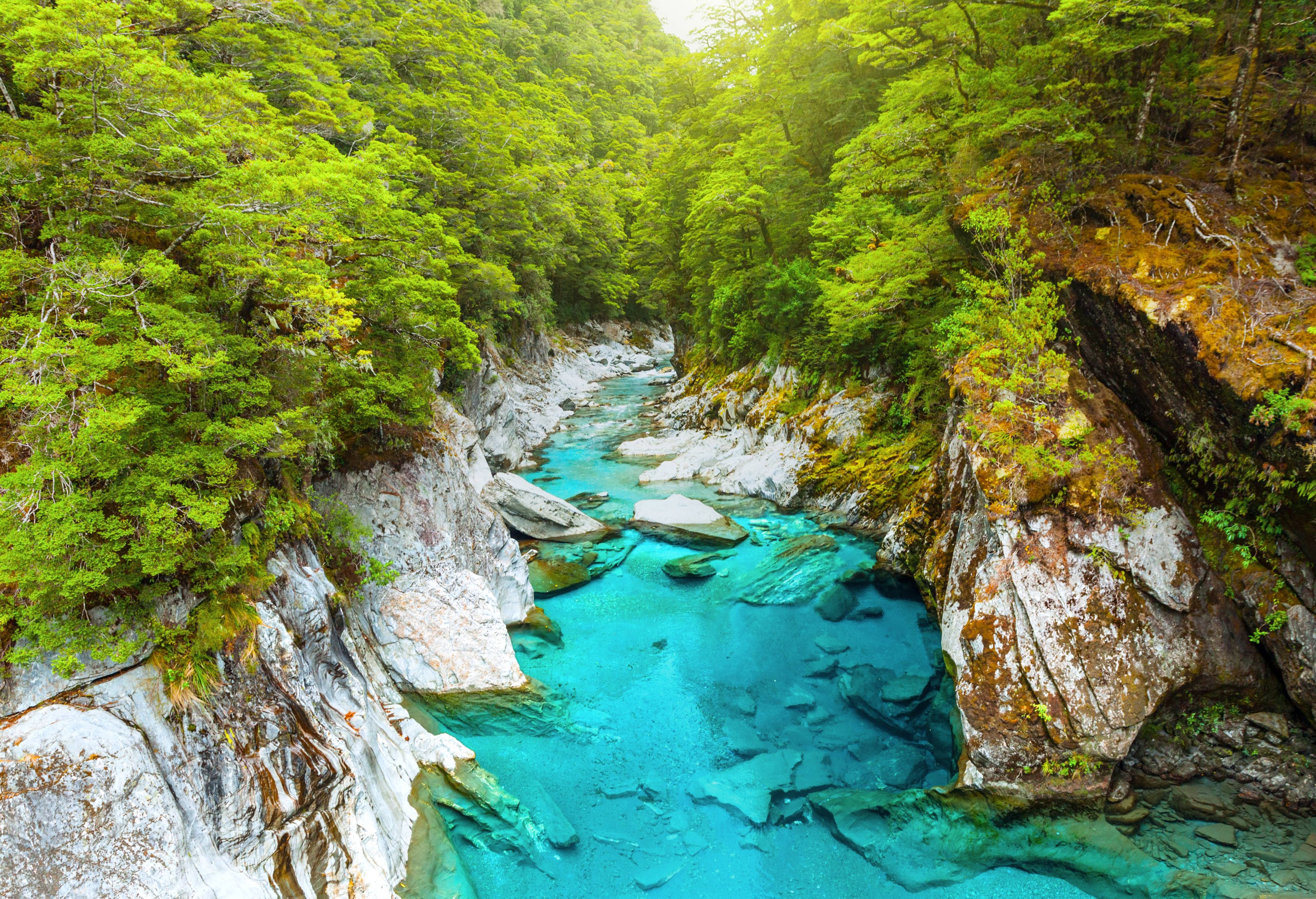 Haast Pass Nieuw-Zeeland