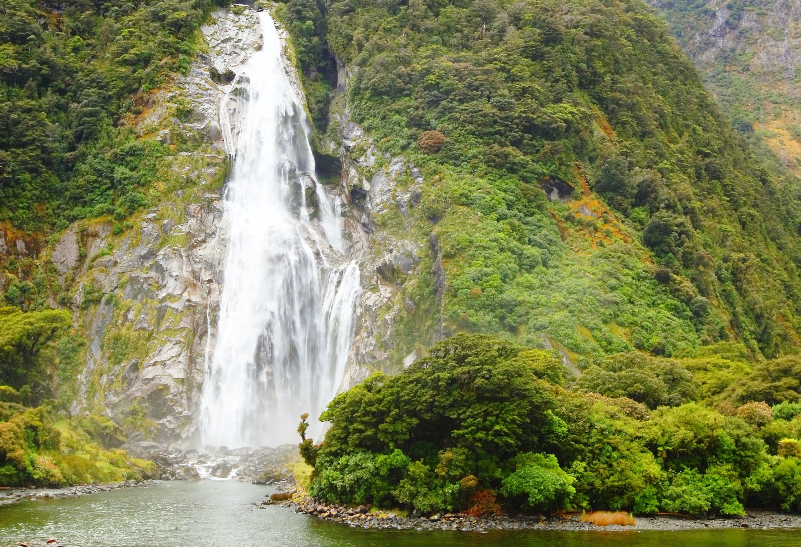 Milford Sound in Fiordland National Park in Nieuw-Zeeland