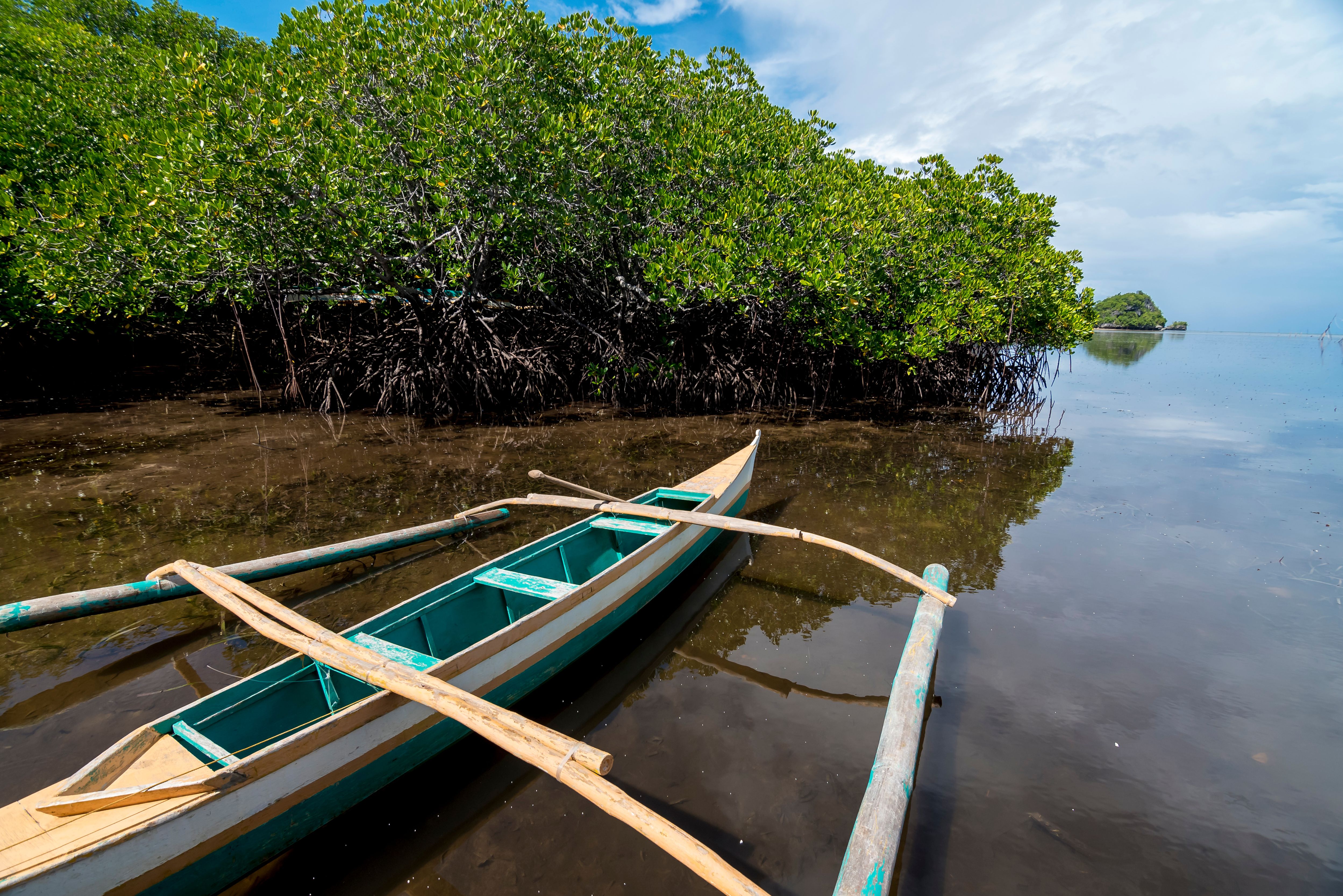 Mangroven langs de kust bij Anda op Bohol