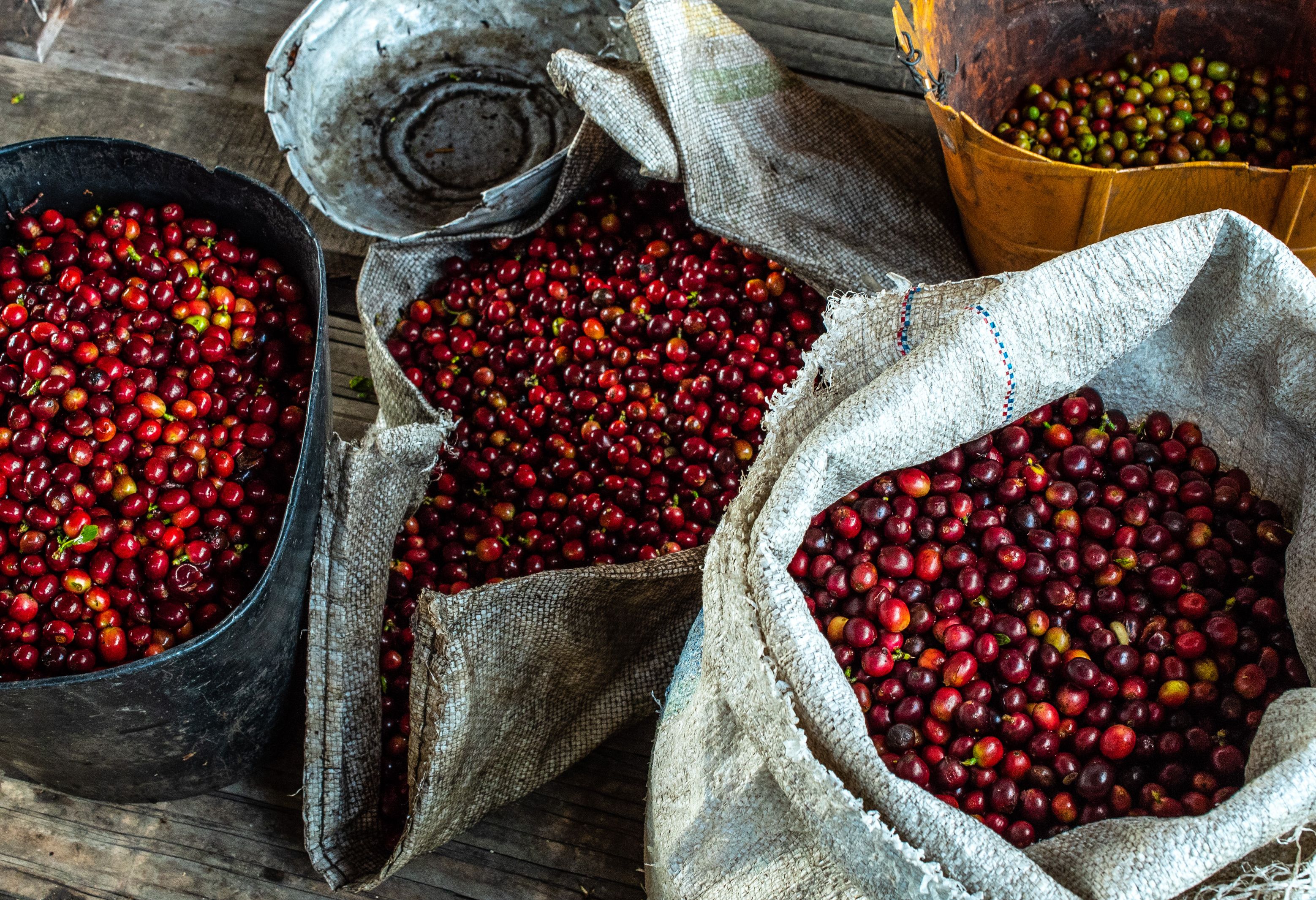 Colombia Koffiebonen