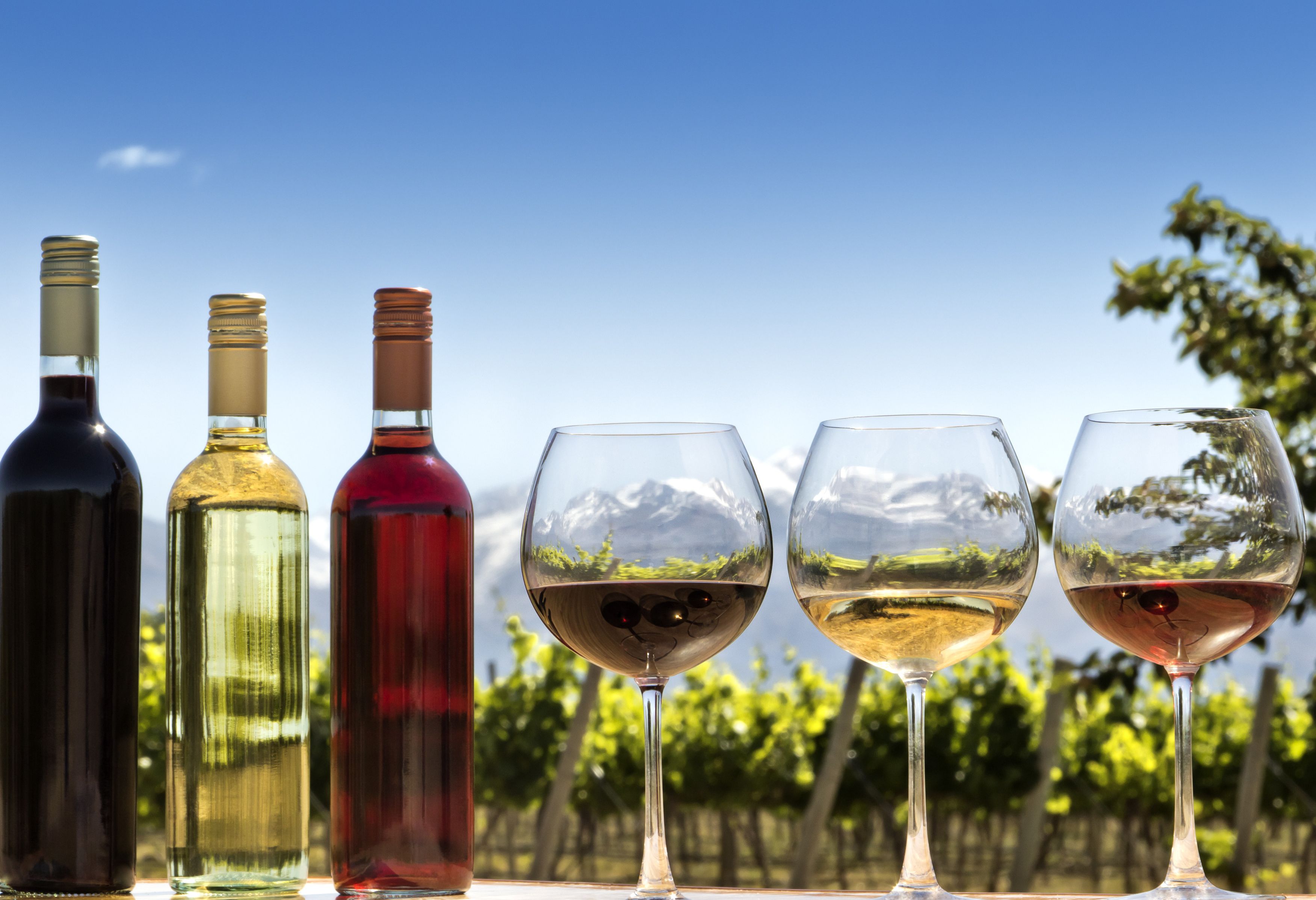 Wijnproeverij in Argentinië