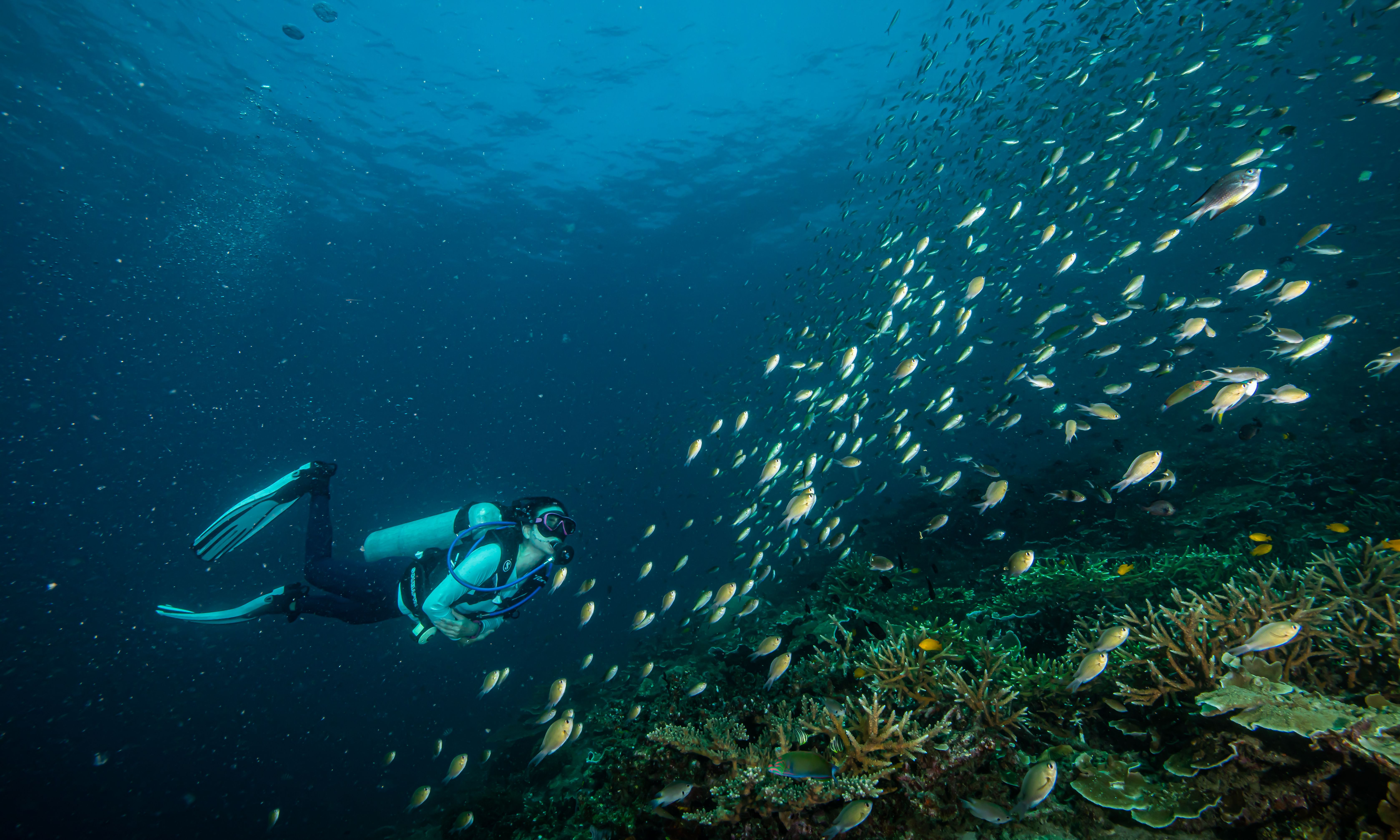 Redang Island
