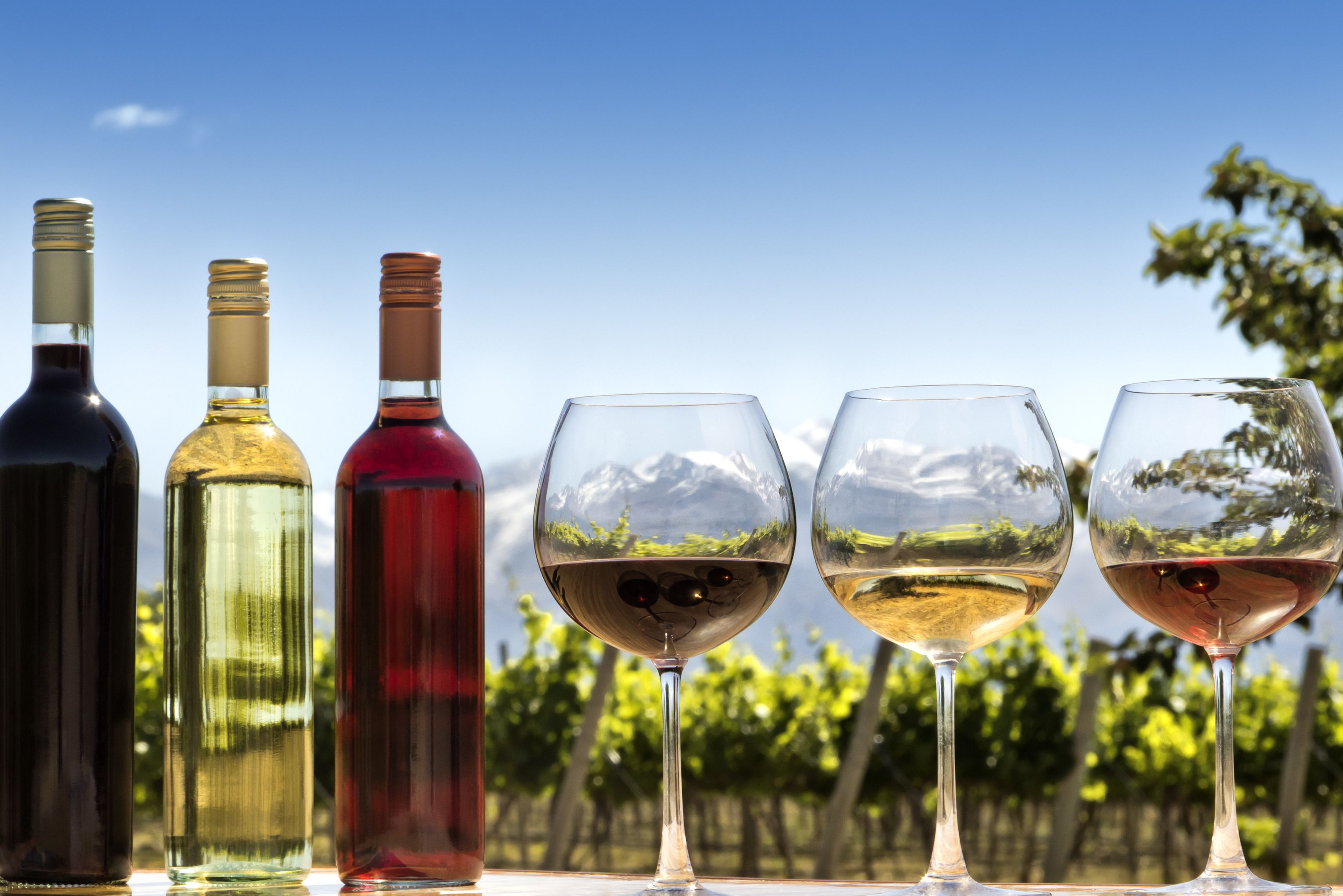 Cafayeta wijnregio in Argentinië