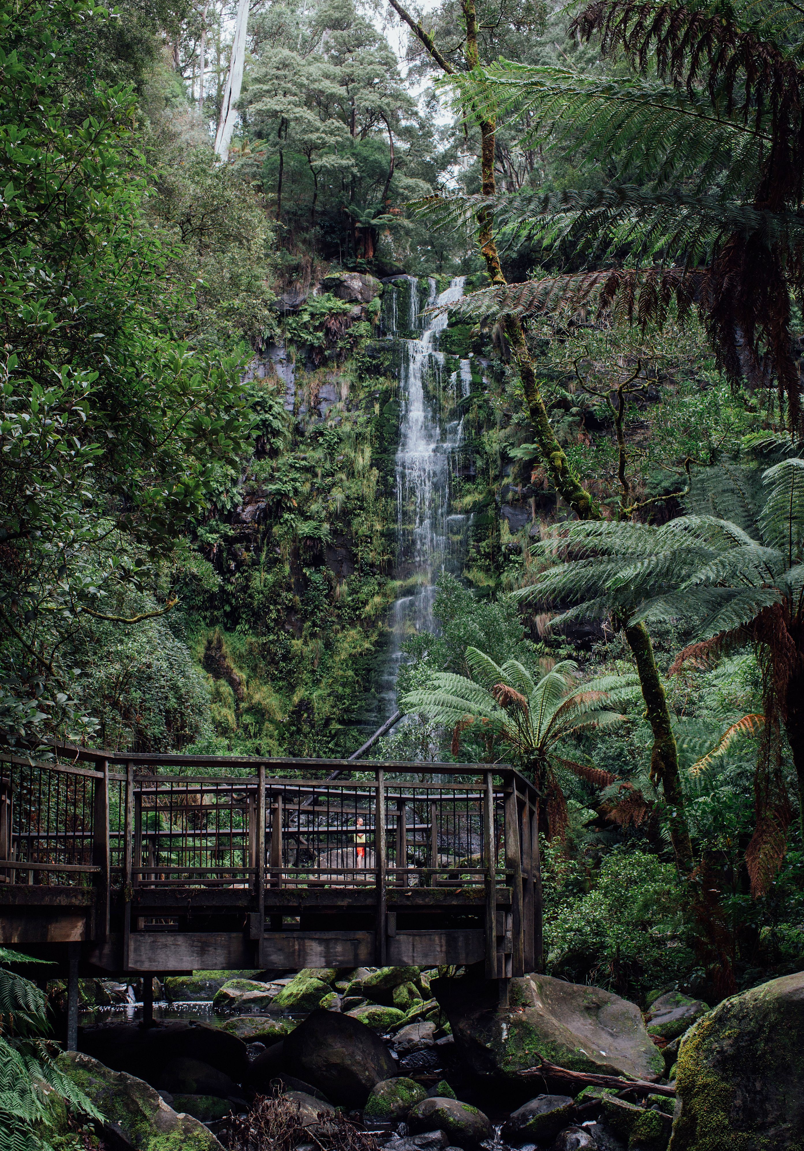 Erskine Falls