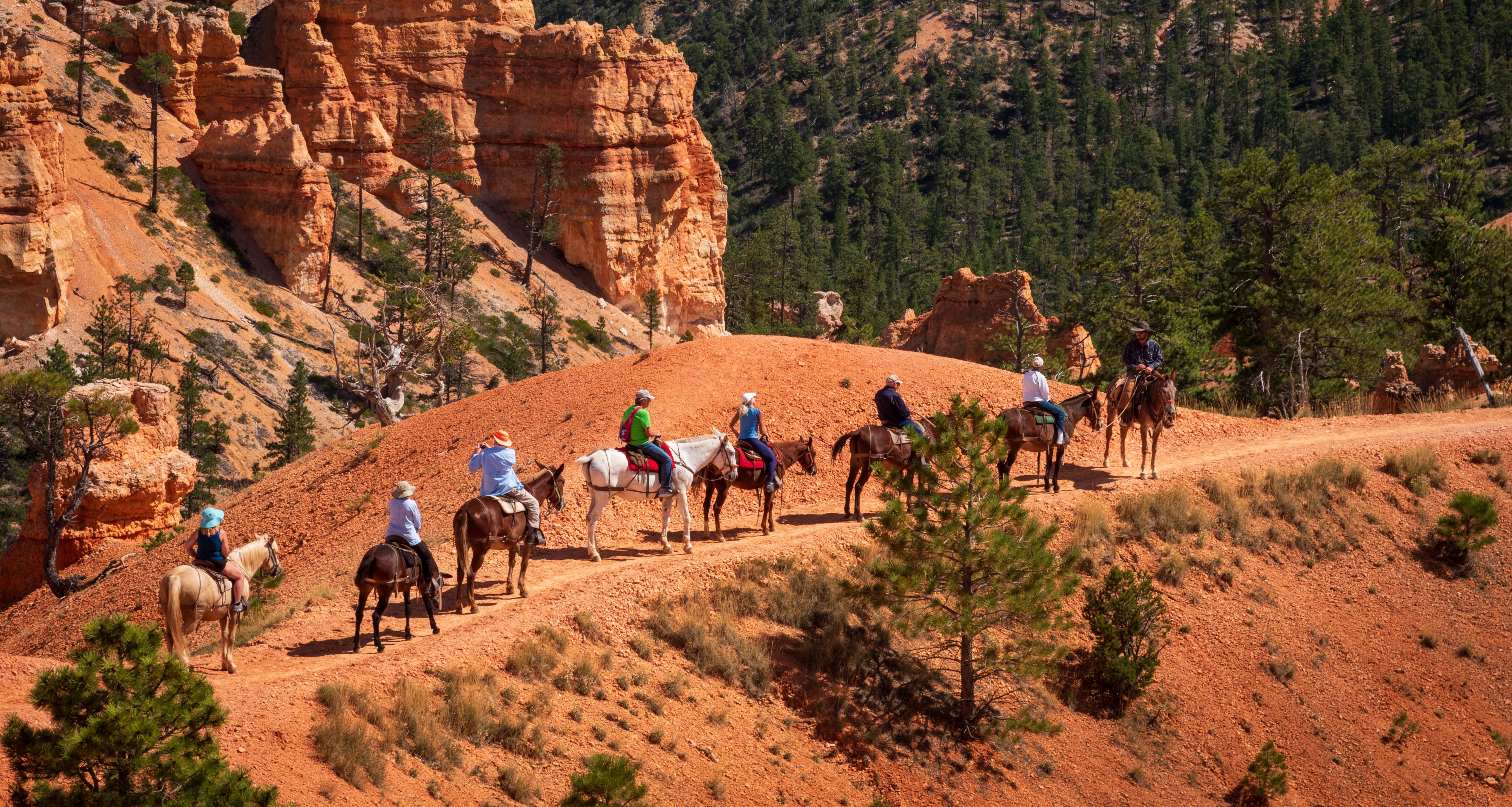 amerika-utah-bryce-canyon-paardrijtocht-