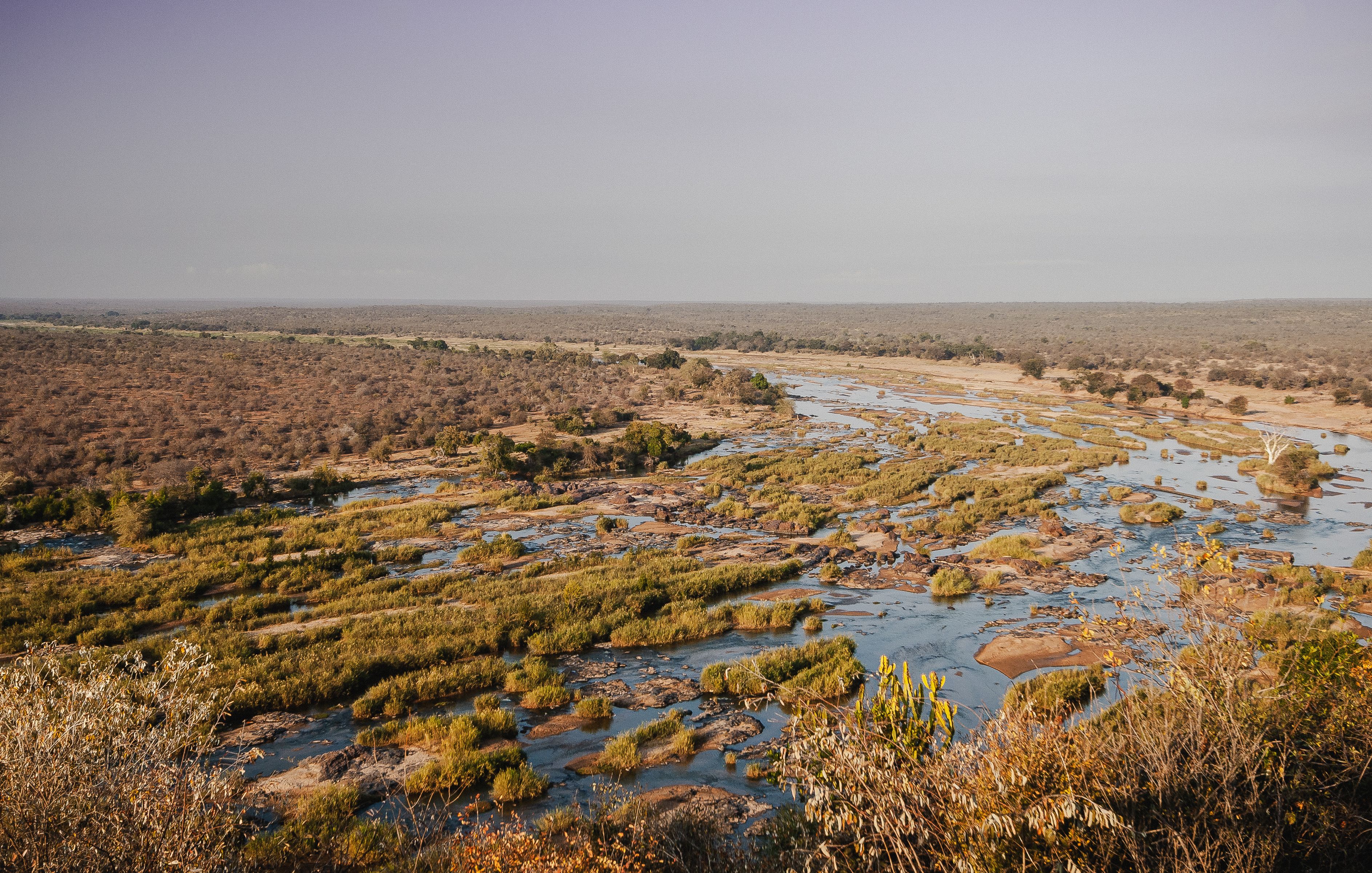 Kruger