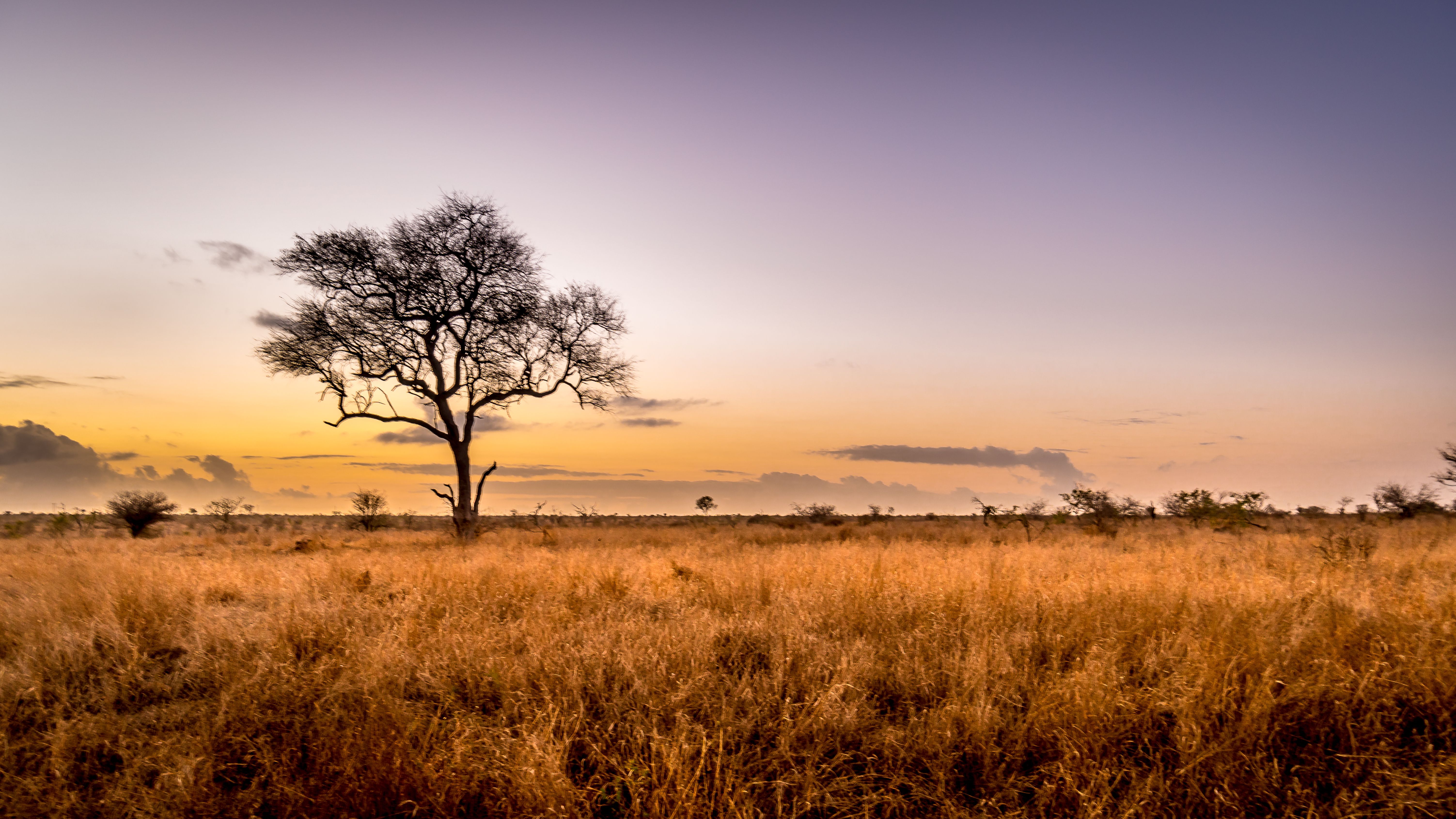 Kruger National Park