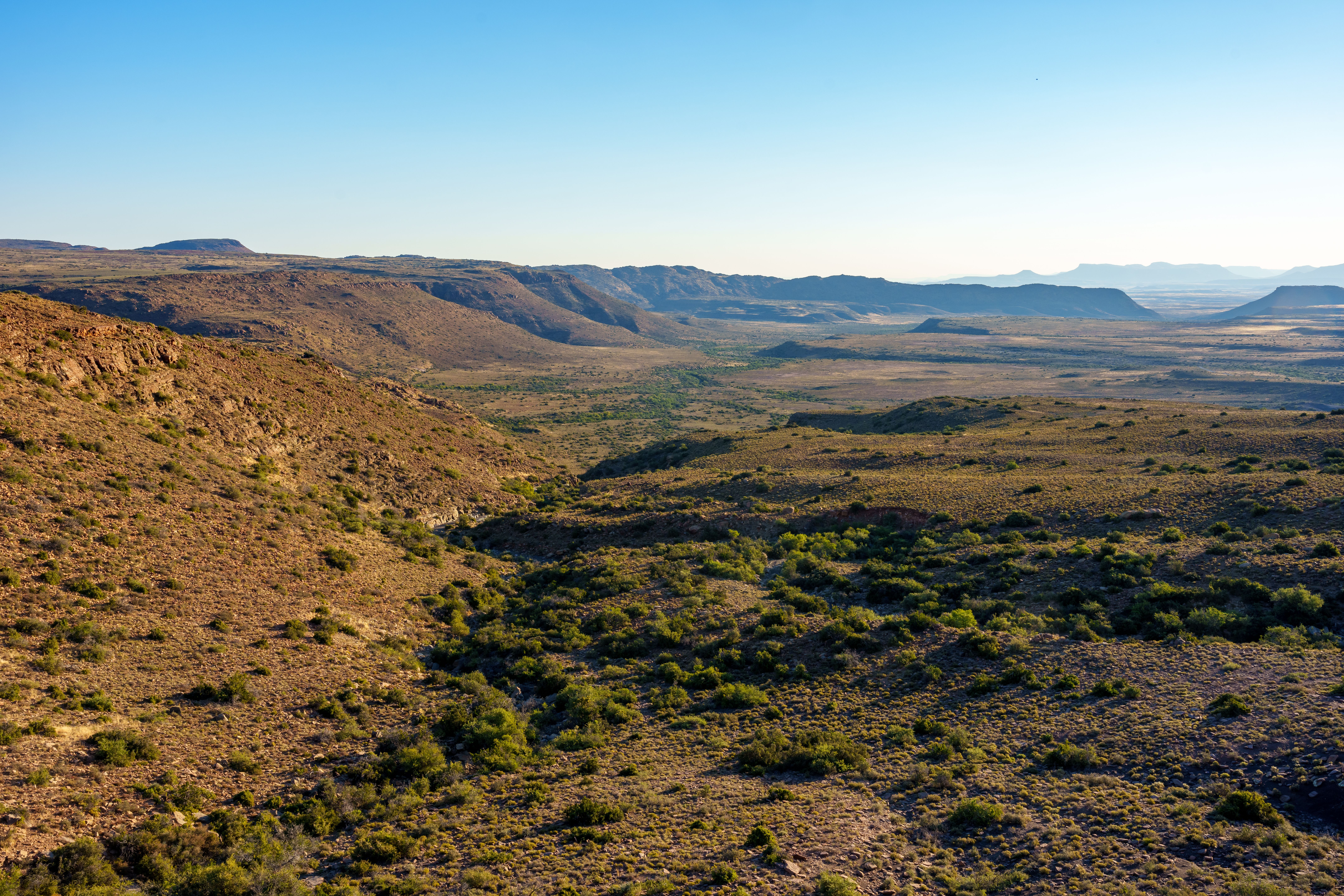 Karoo National Park, Zuid-Afrika