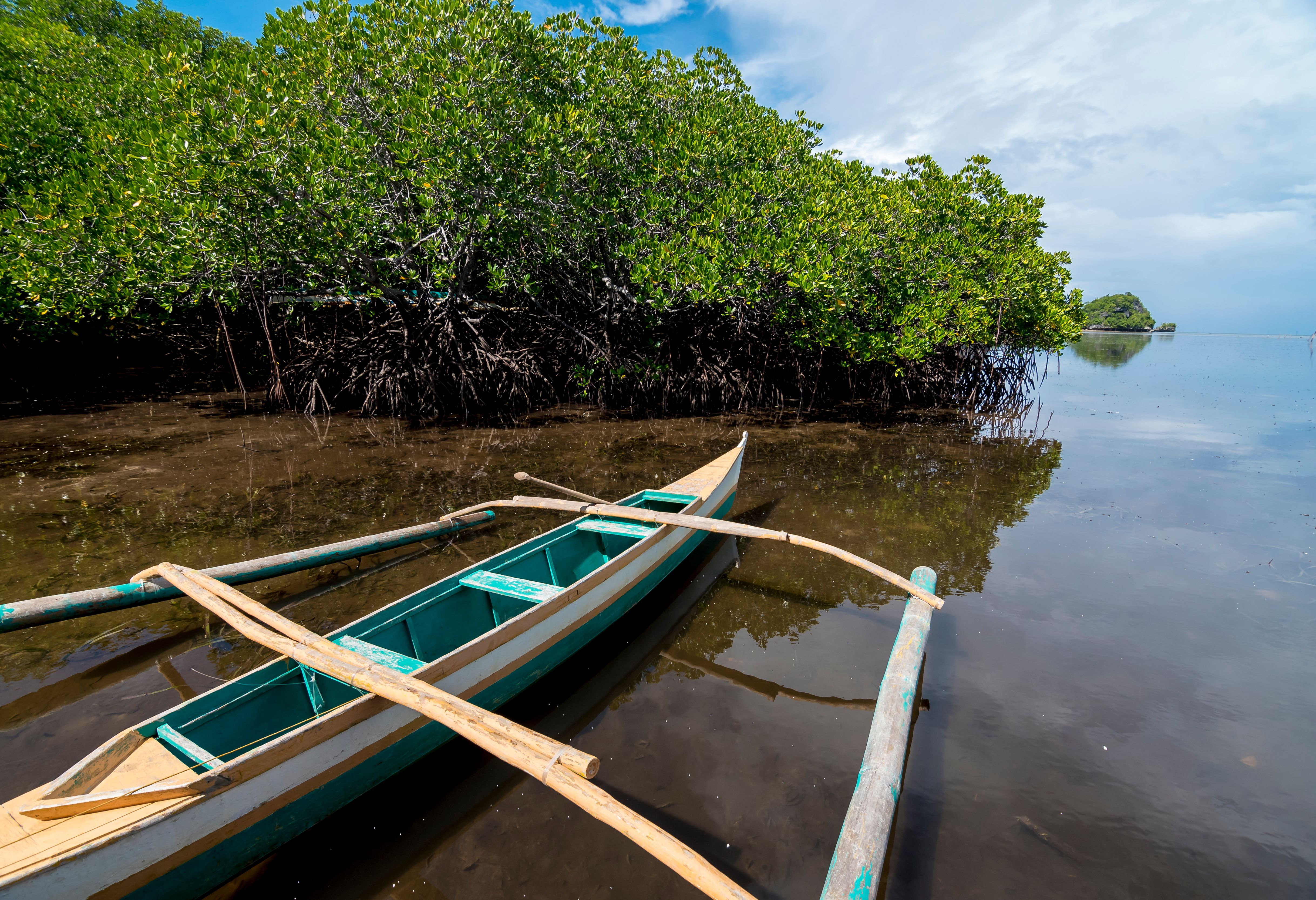 Mangroven voor de kust van Anda op Bohol