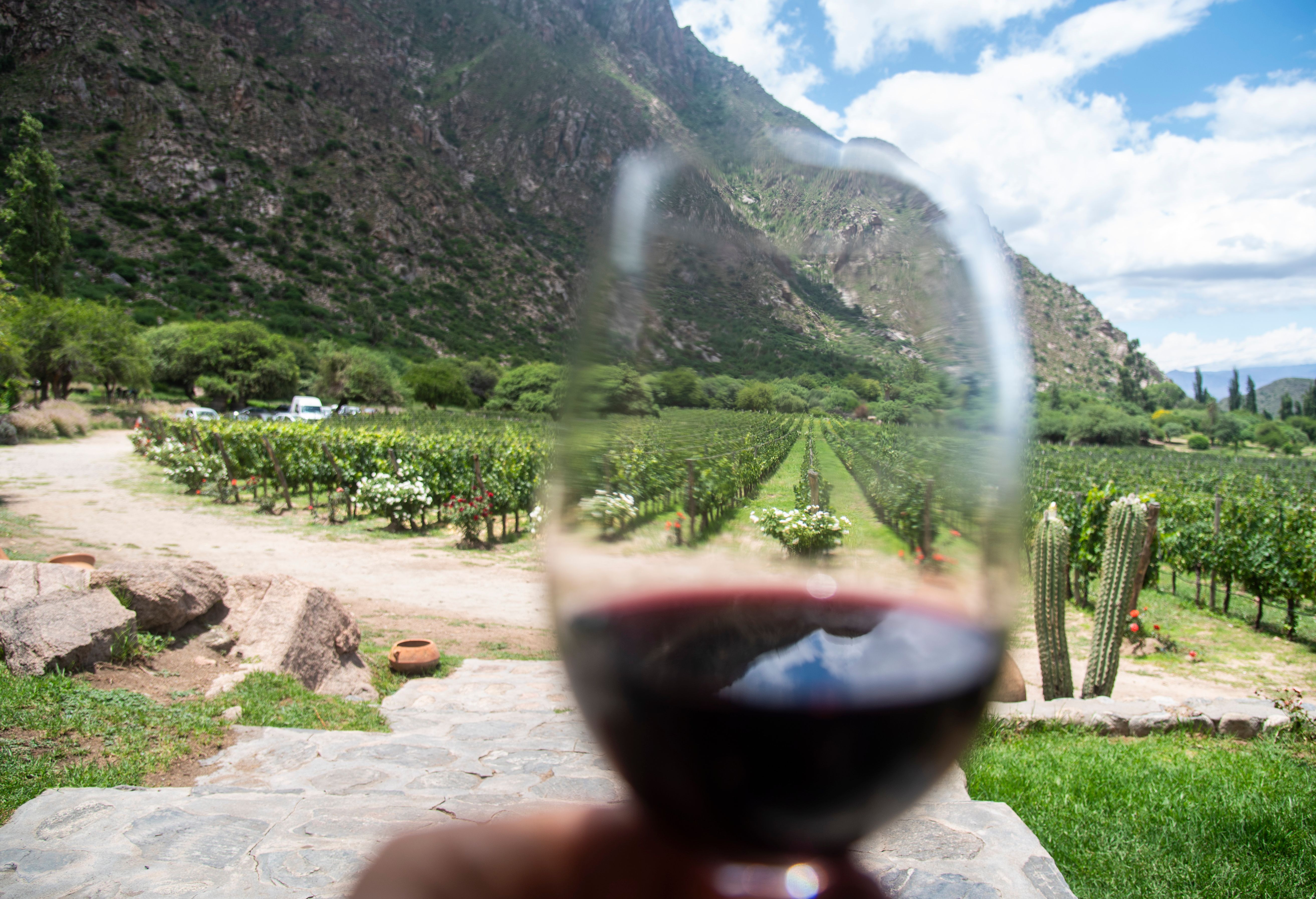 Wijn in Cafayete in Argentinië