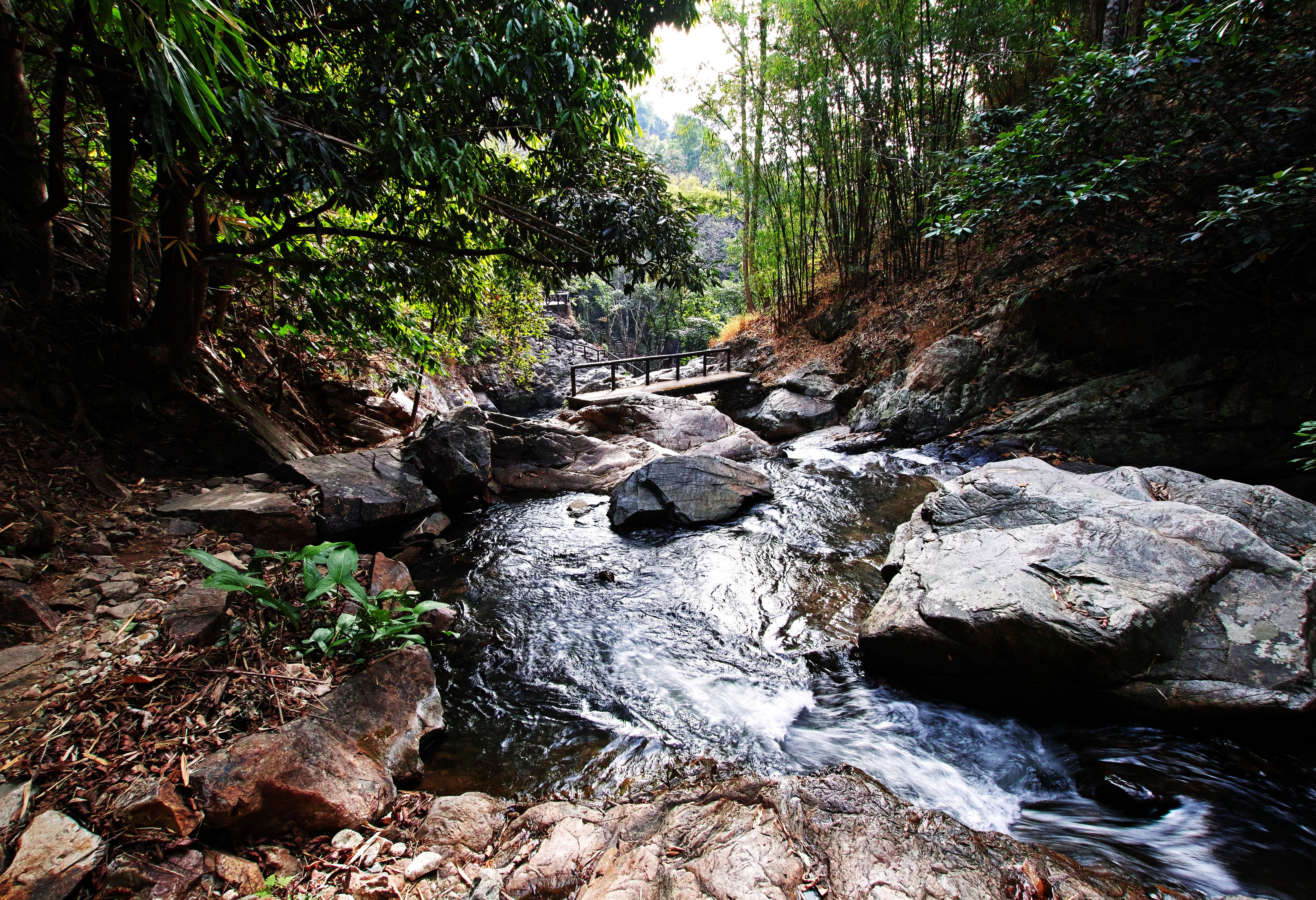 Phrae Wiang Kosai nationaal park