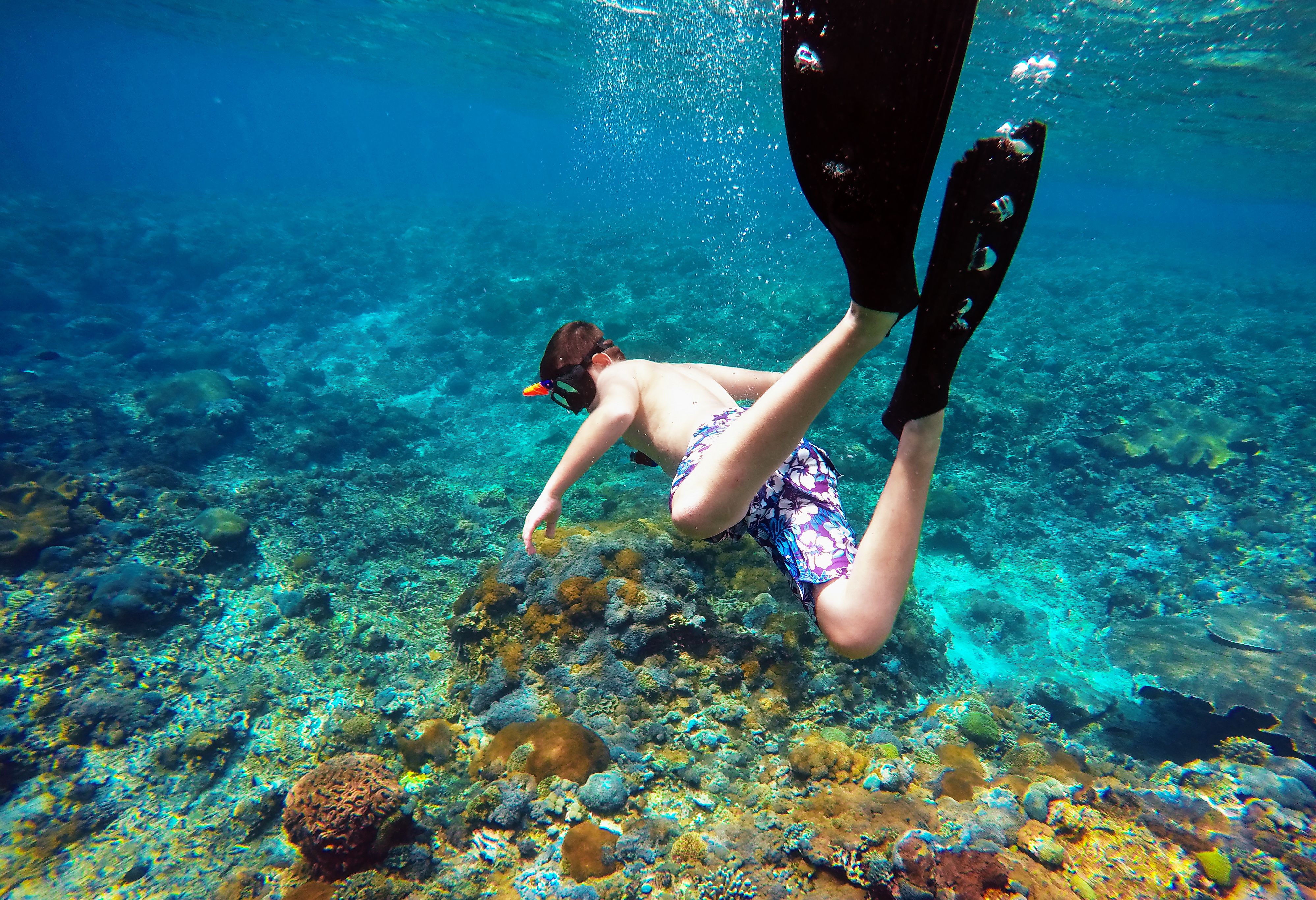 Snorkelen bij Nusa Penida