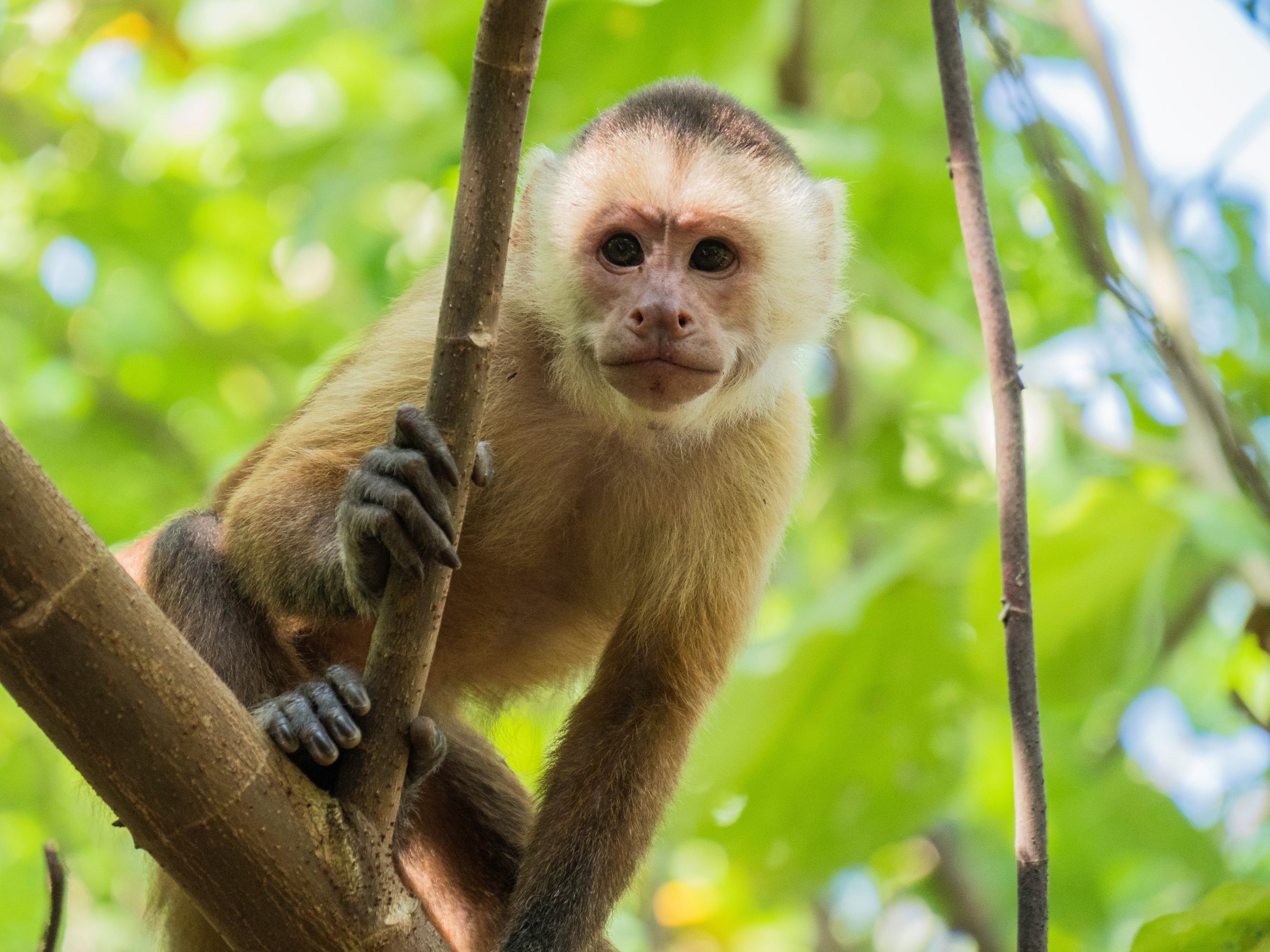 Tayrona National Park - Colombia