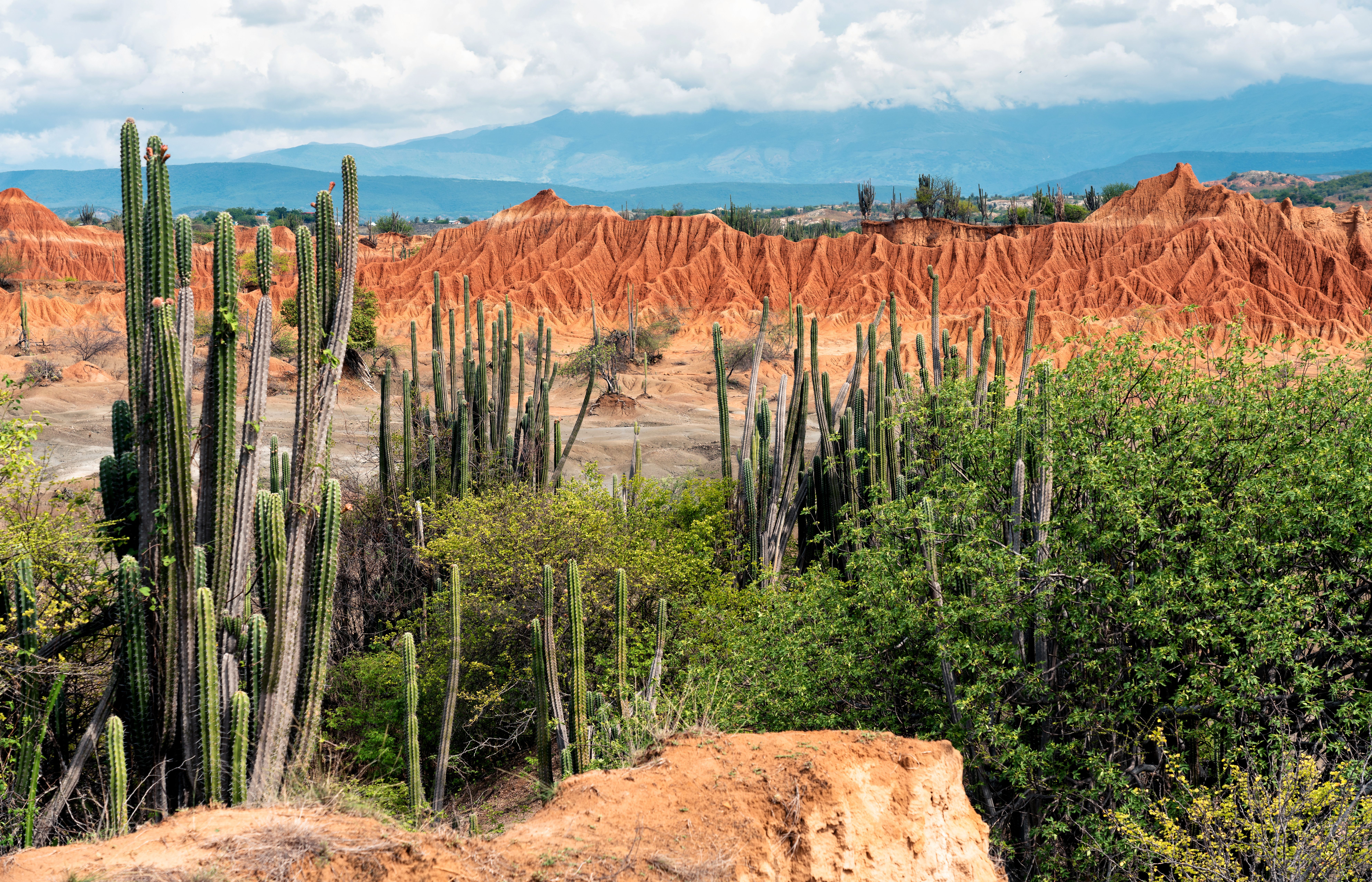 Tatacoa desert woestijn Colombia
