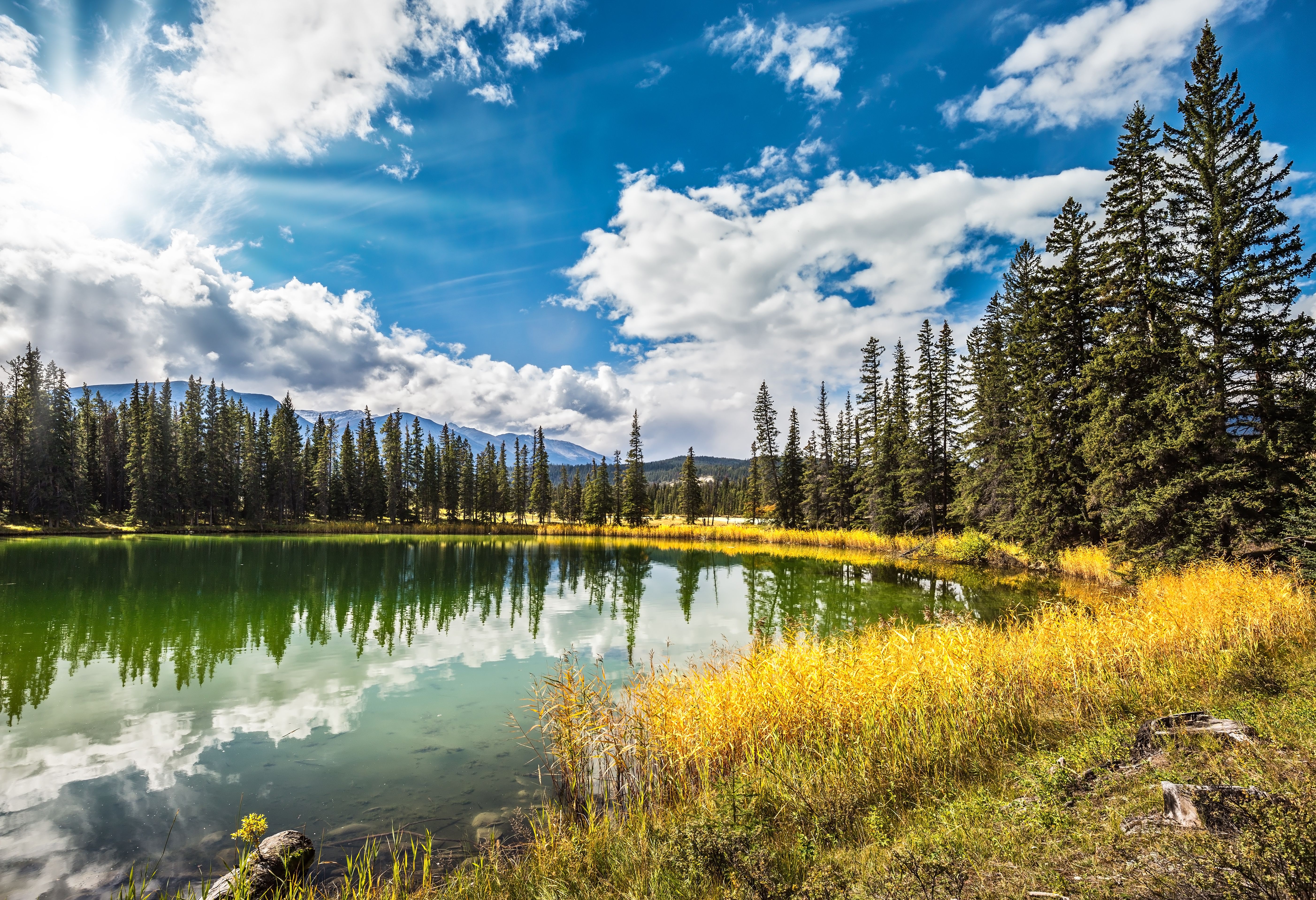 Zonnige herfstdag in Jasper National Park in Canada