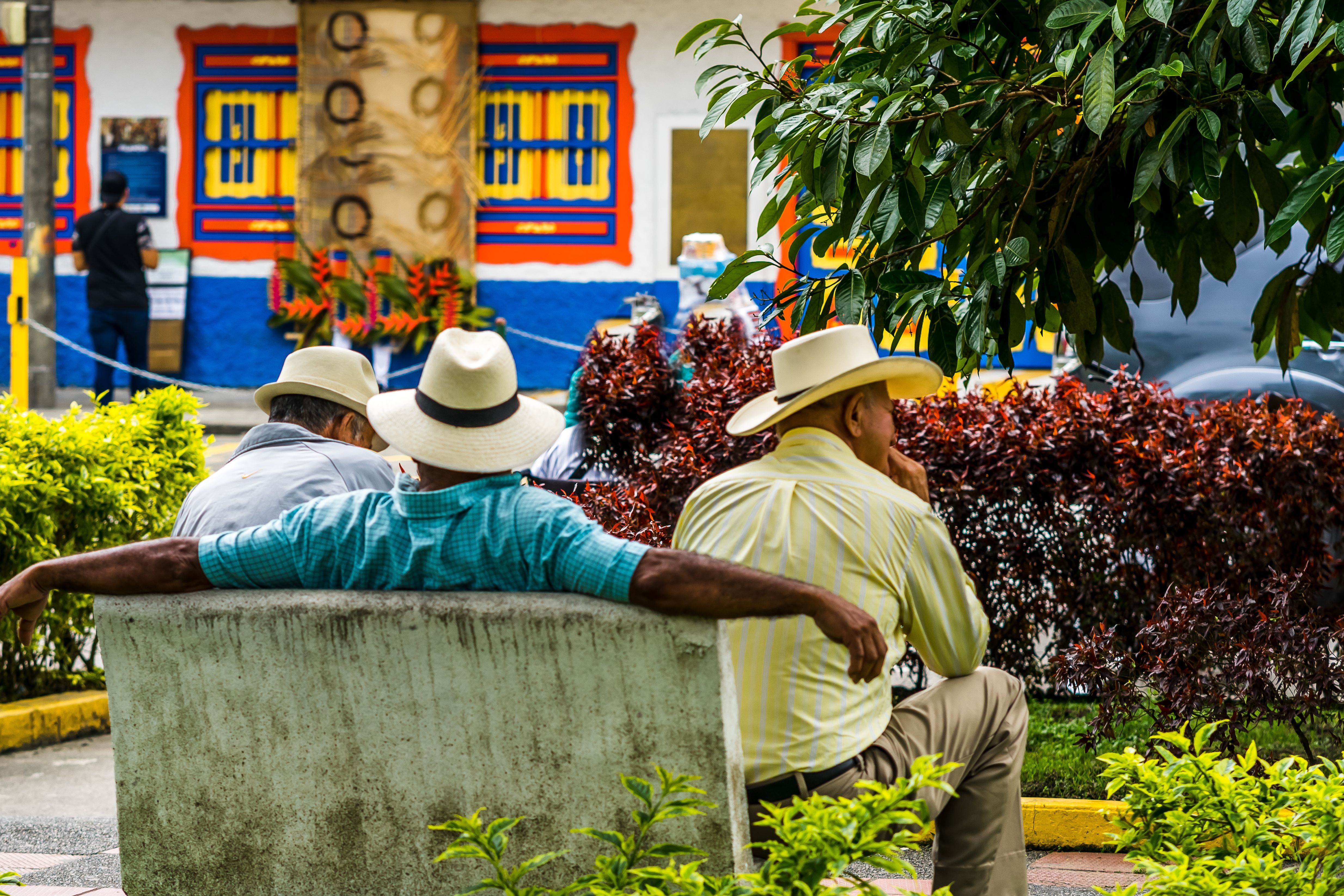 Koffieregio Colombia