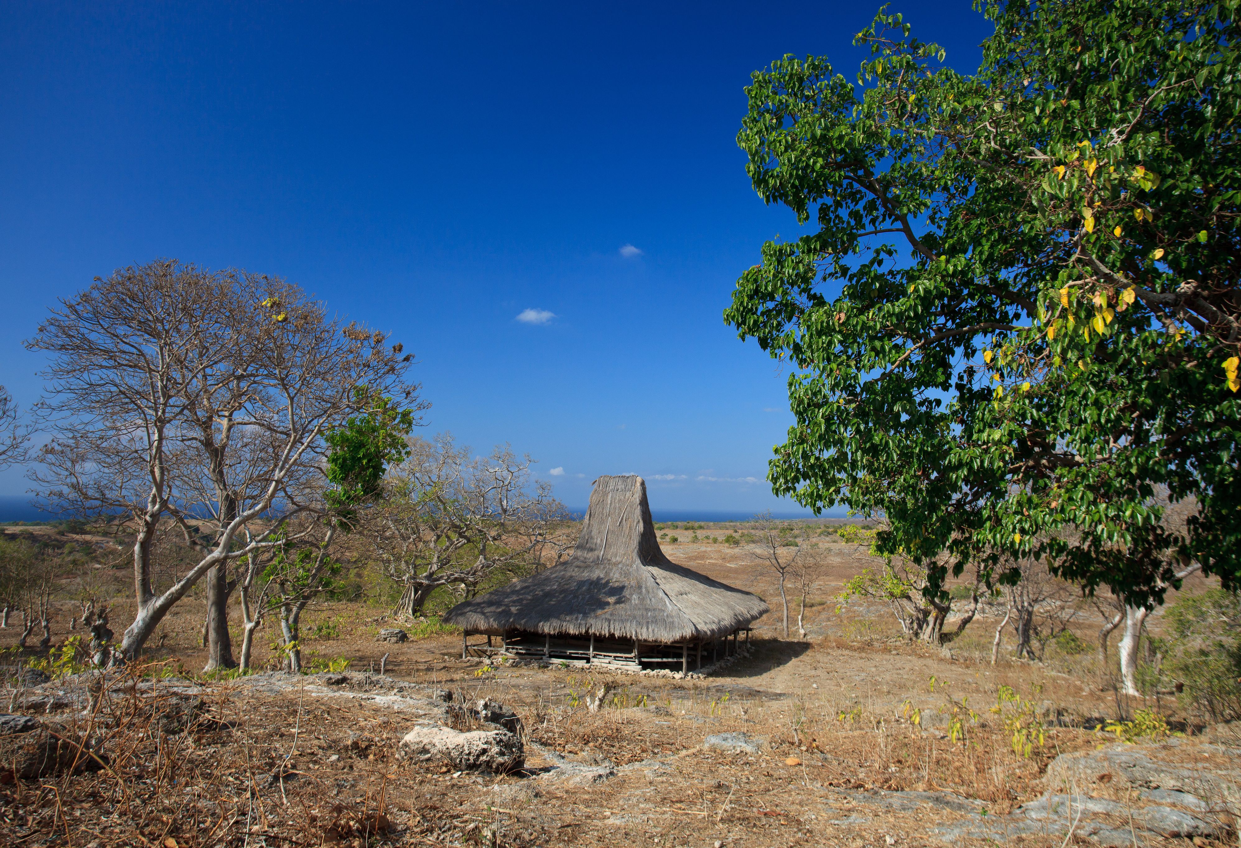 Uitzicht onderweg op Sumba in Indonesie
