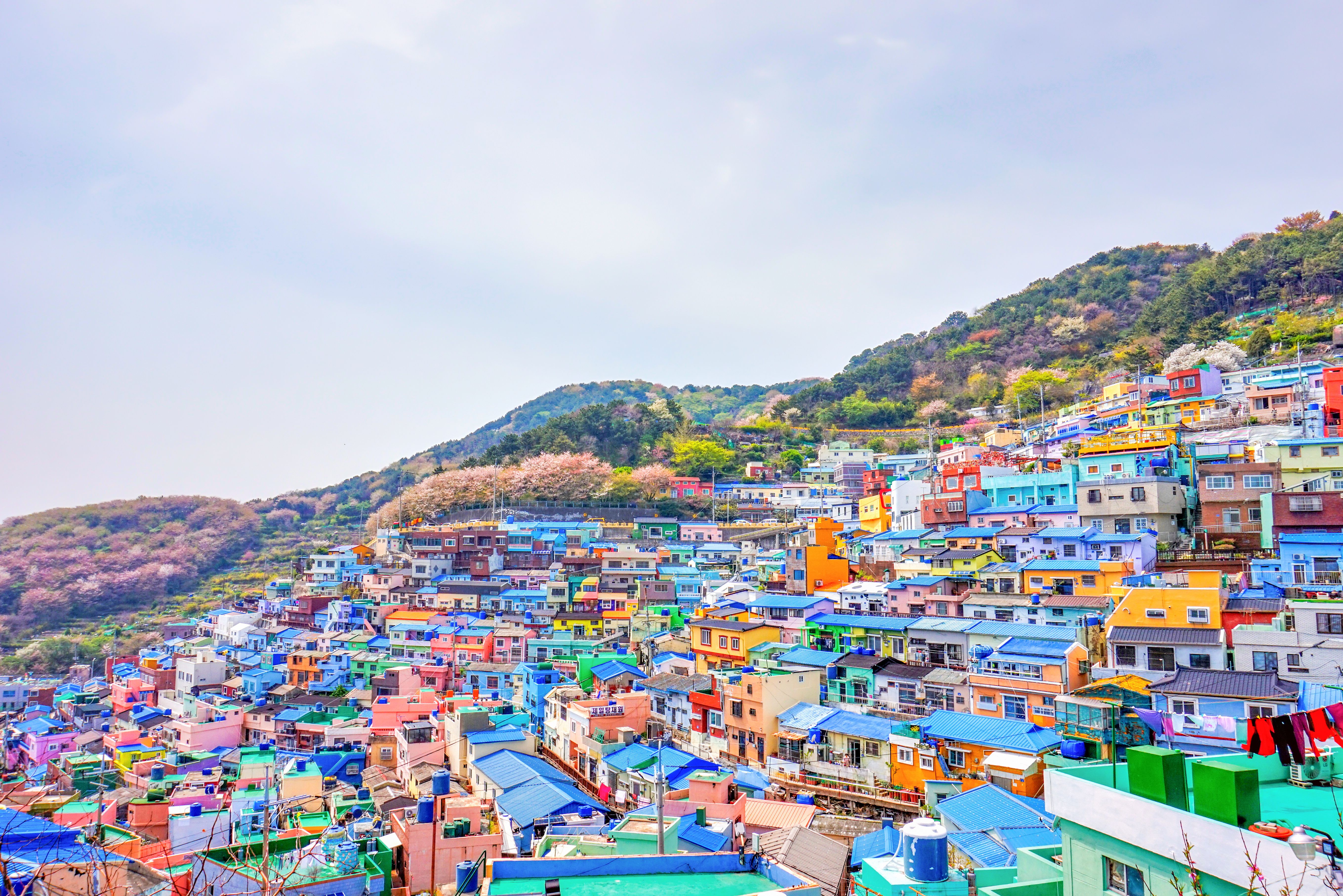 Gekleurde huizen in Gamcheon Culture Village