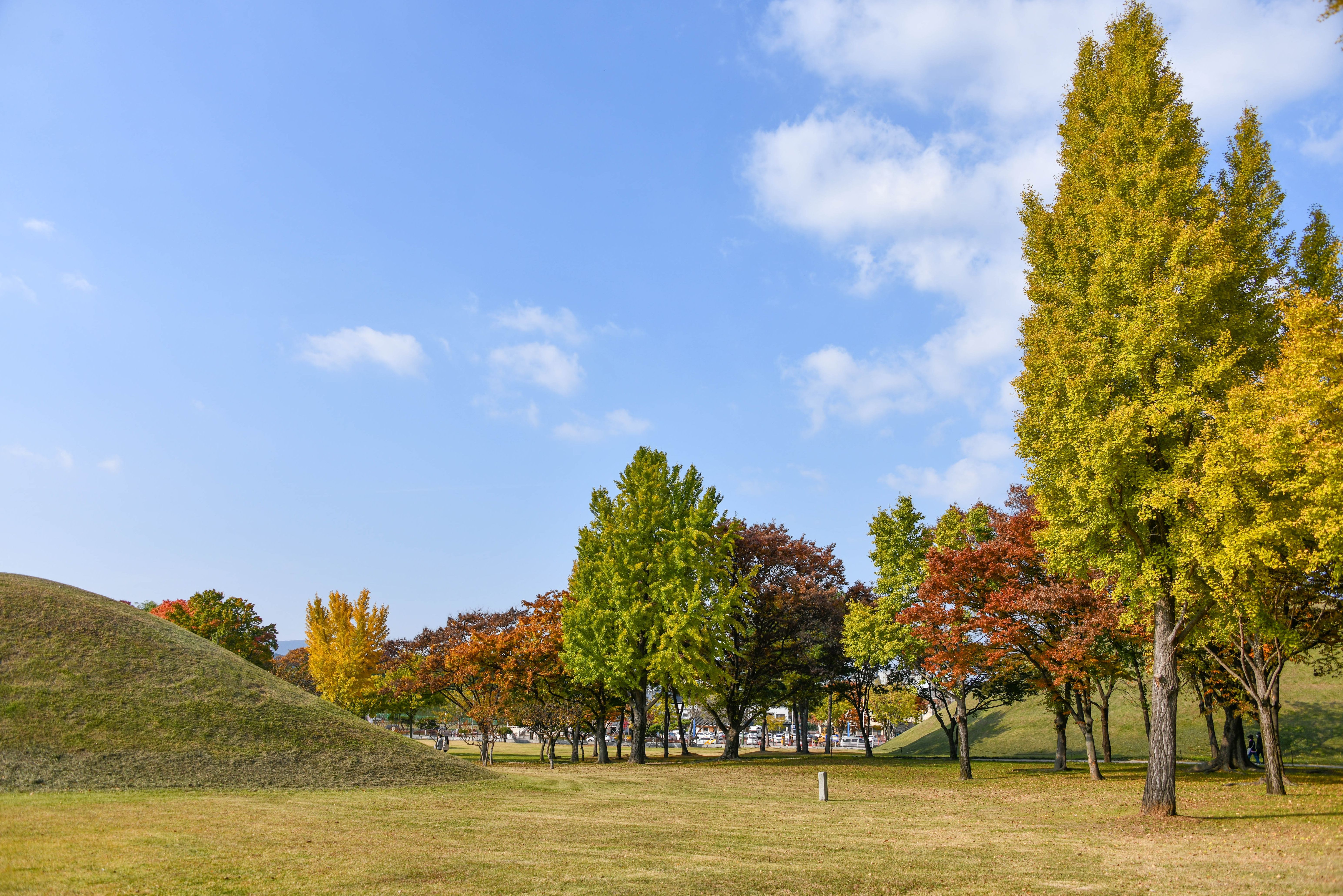 Daereungwon park met grafheuvels