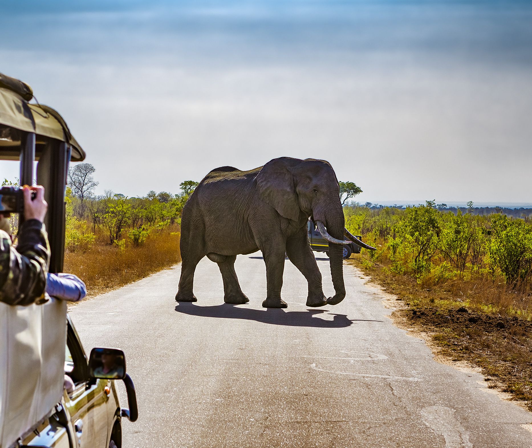 zuid-afrika-kruger-safari