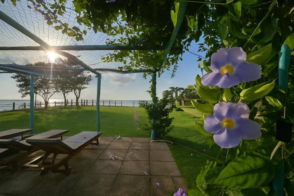 Sri Lanka Kudawella Solara Beach House Terras
