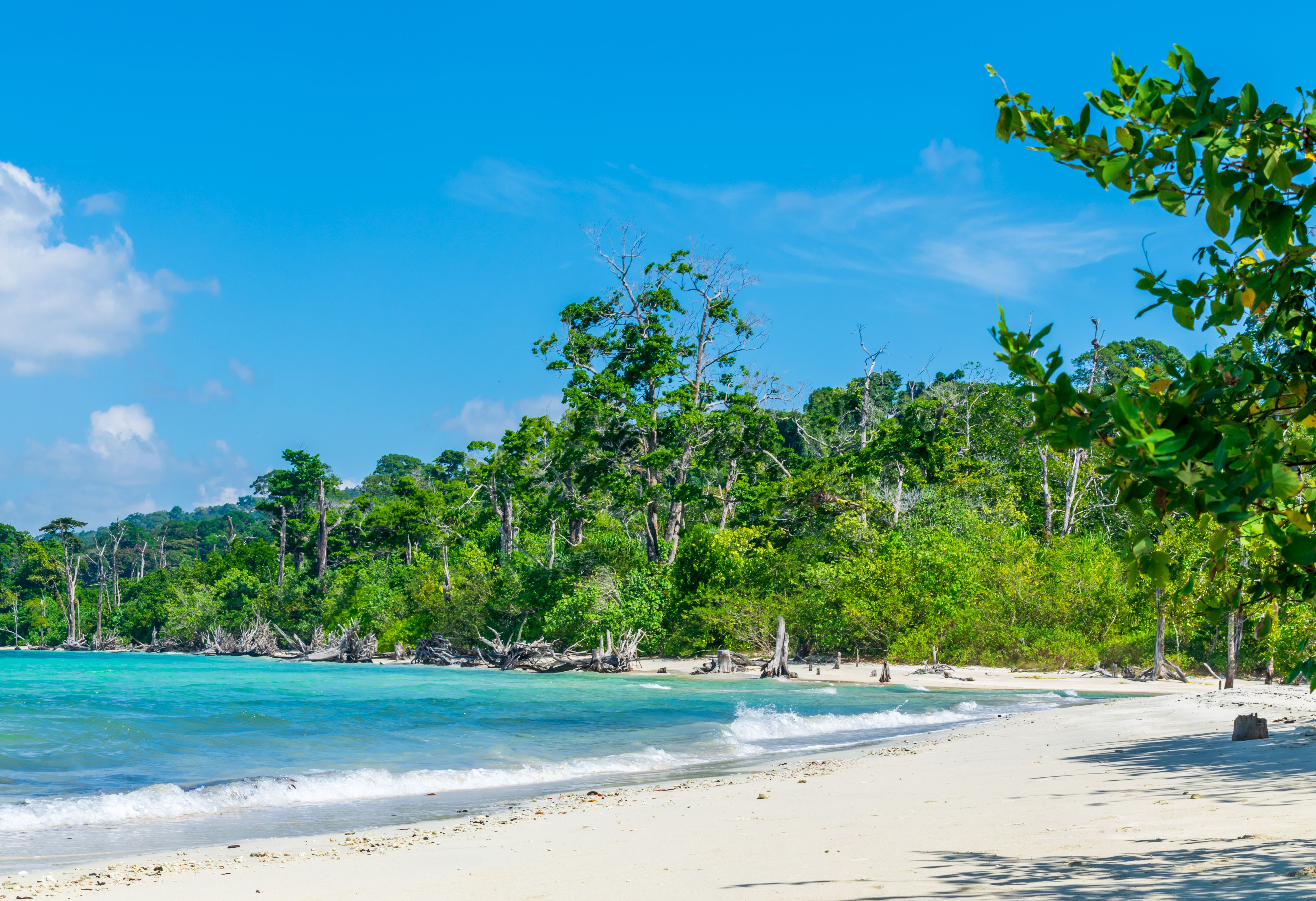 Havelock Island Andaman