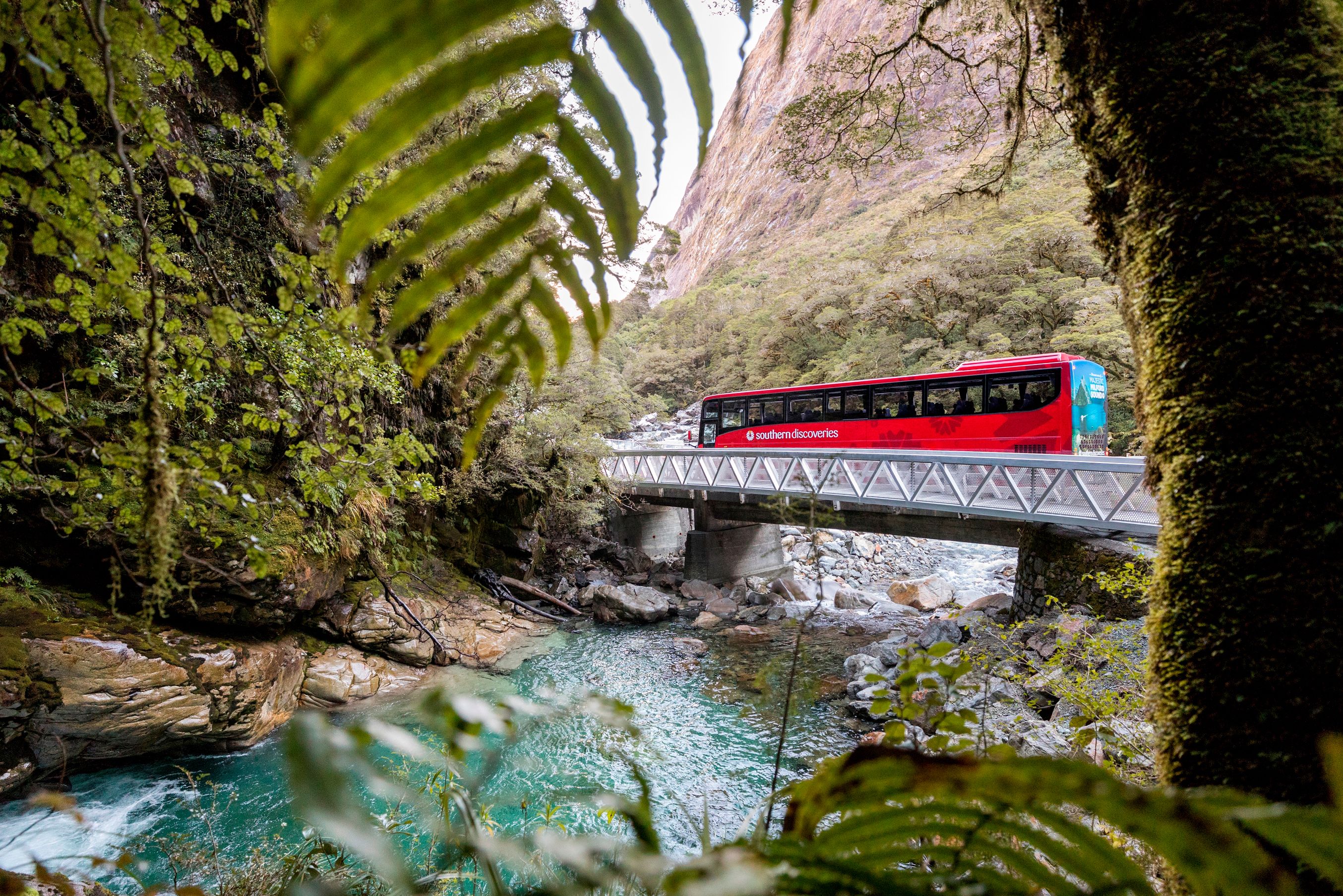 Over de brug in de Cleddau Valley op weg naar Milford Sound in Nieuw-Zeeland