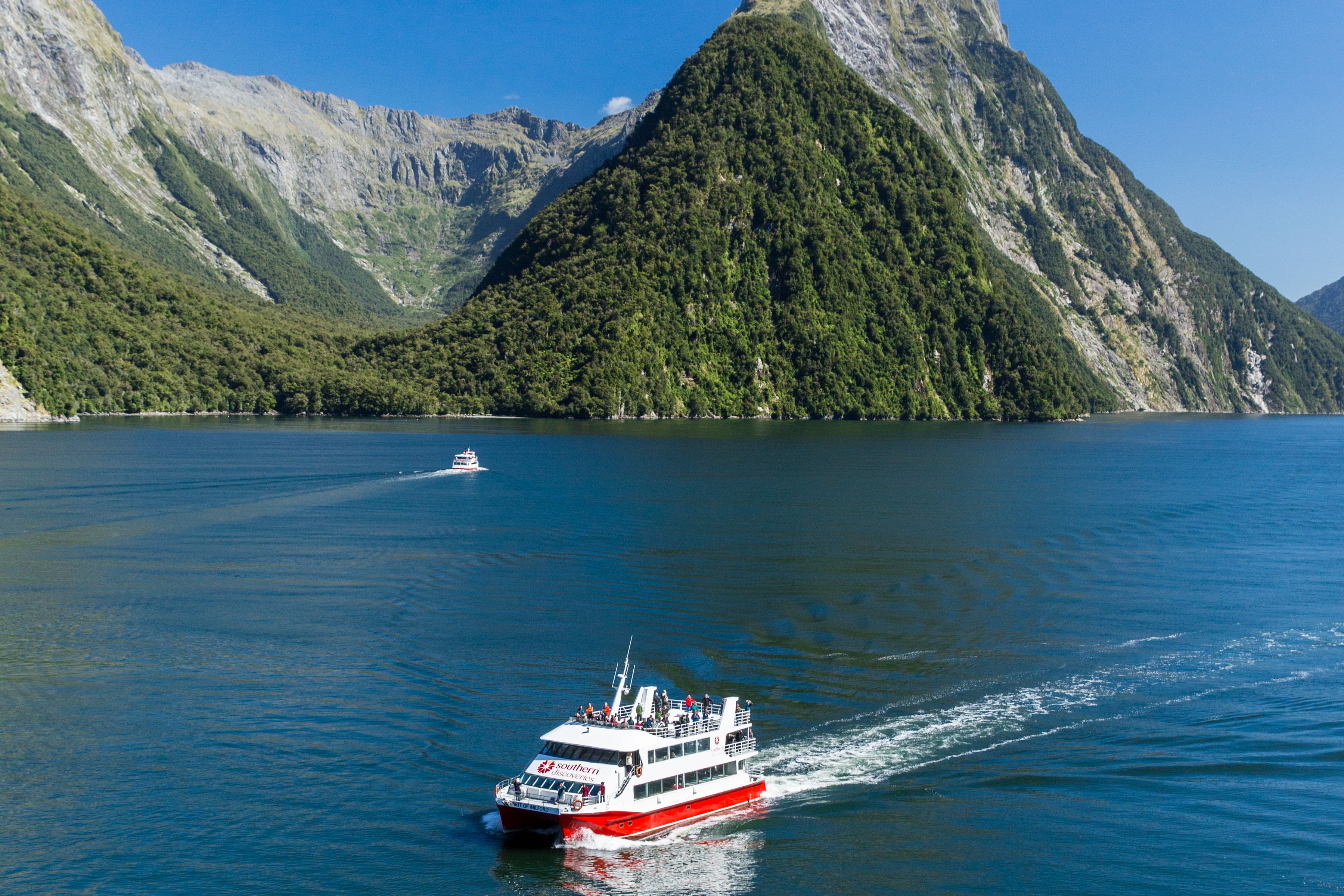 Natuurpracht tijdens Nature Cruise in Milford Sound in Nieuw-Zeeland