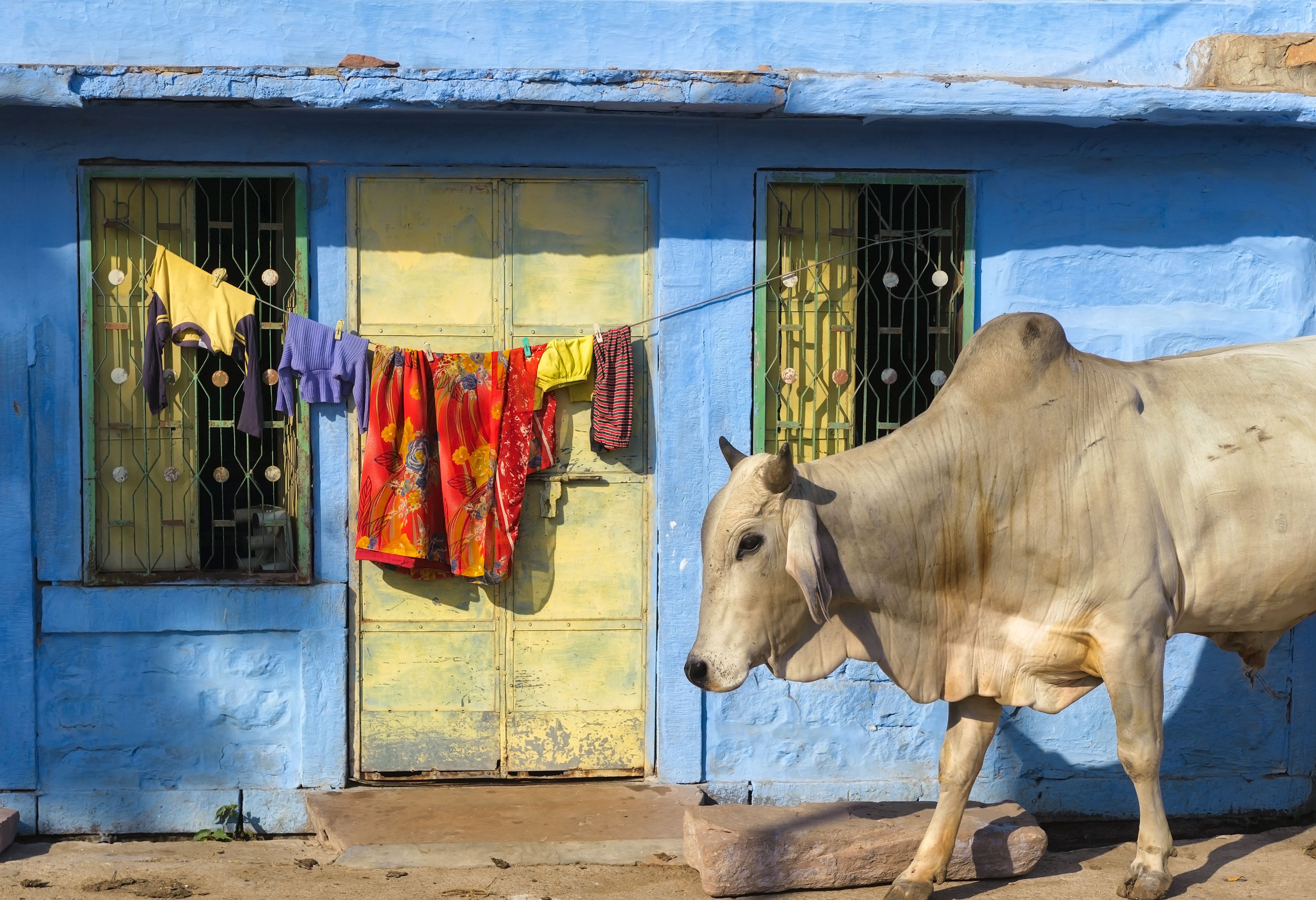 India straatbeeld