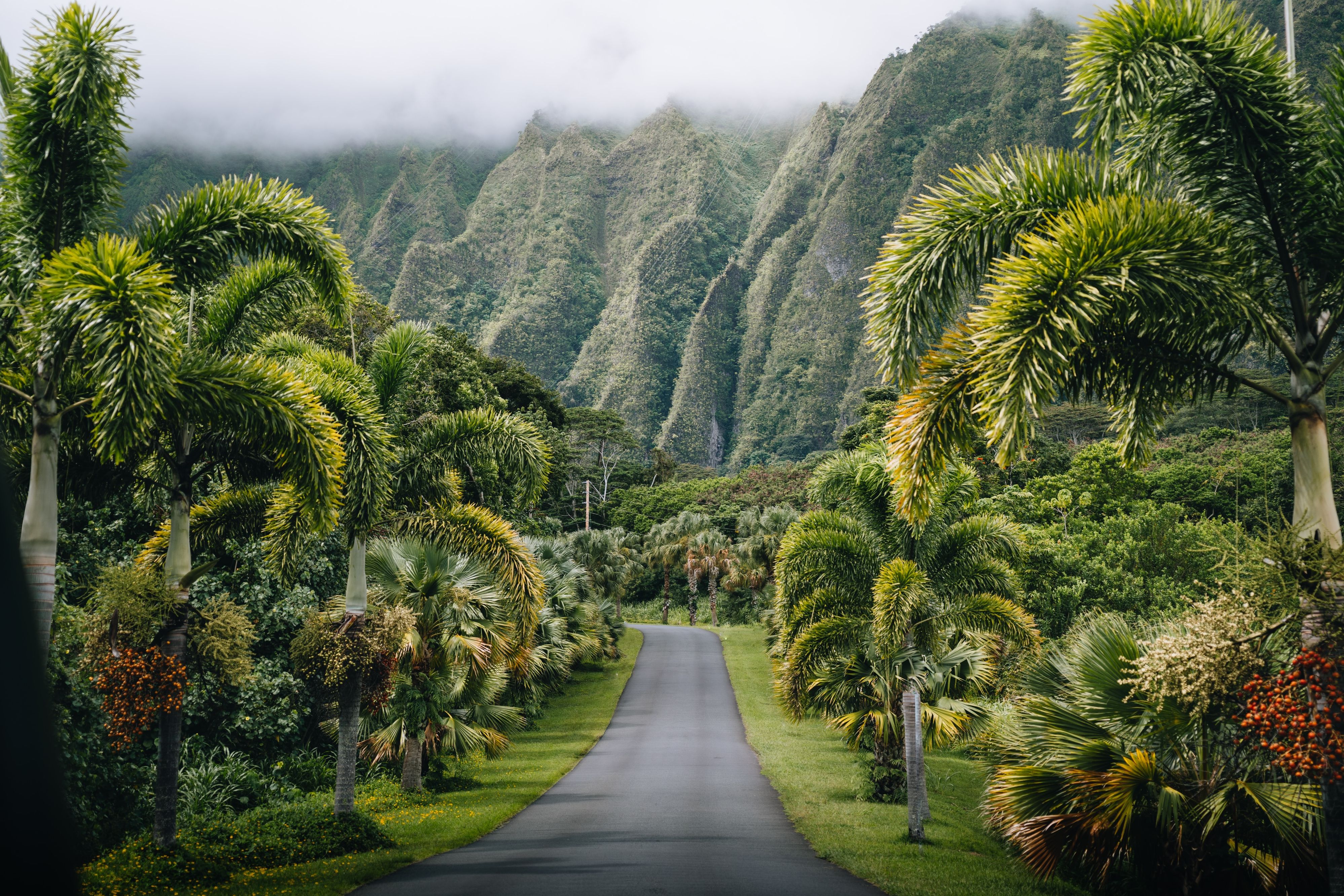 amerika-hawaii-Ho'omaluhia-Botnaical-Park