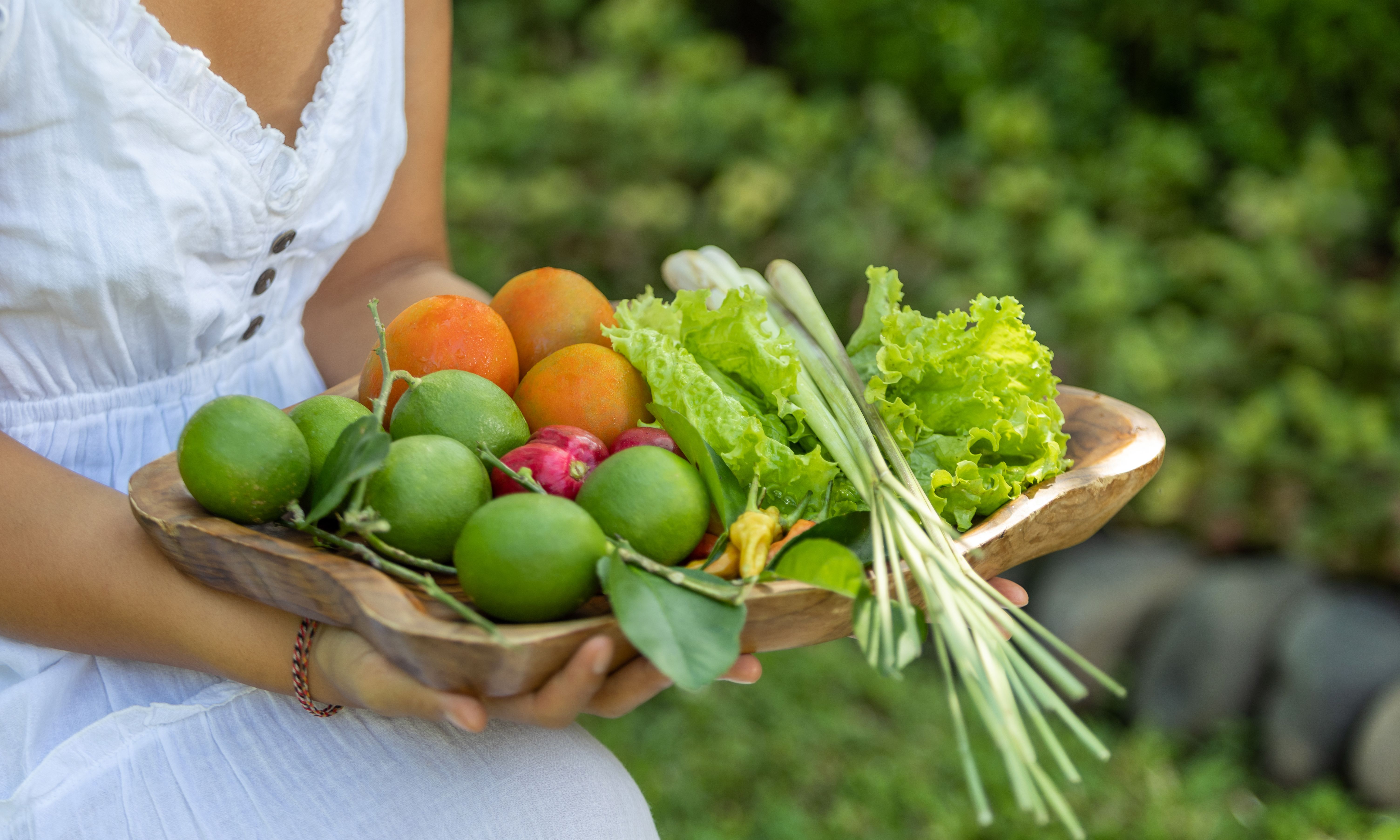 Indonesie-Bali-Ubud-Fivelements-Retreat-Hoteltuin