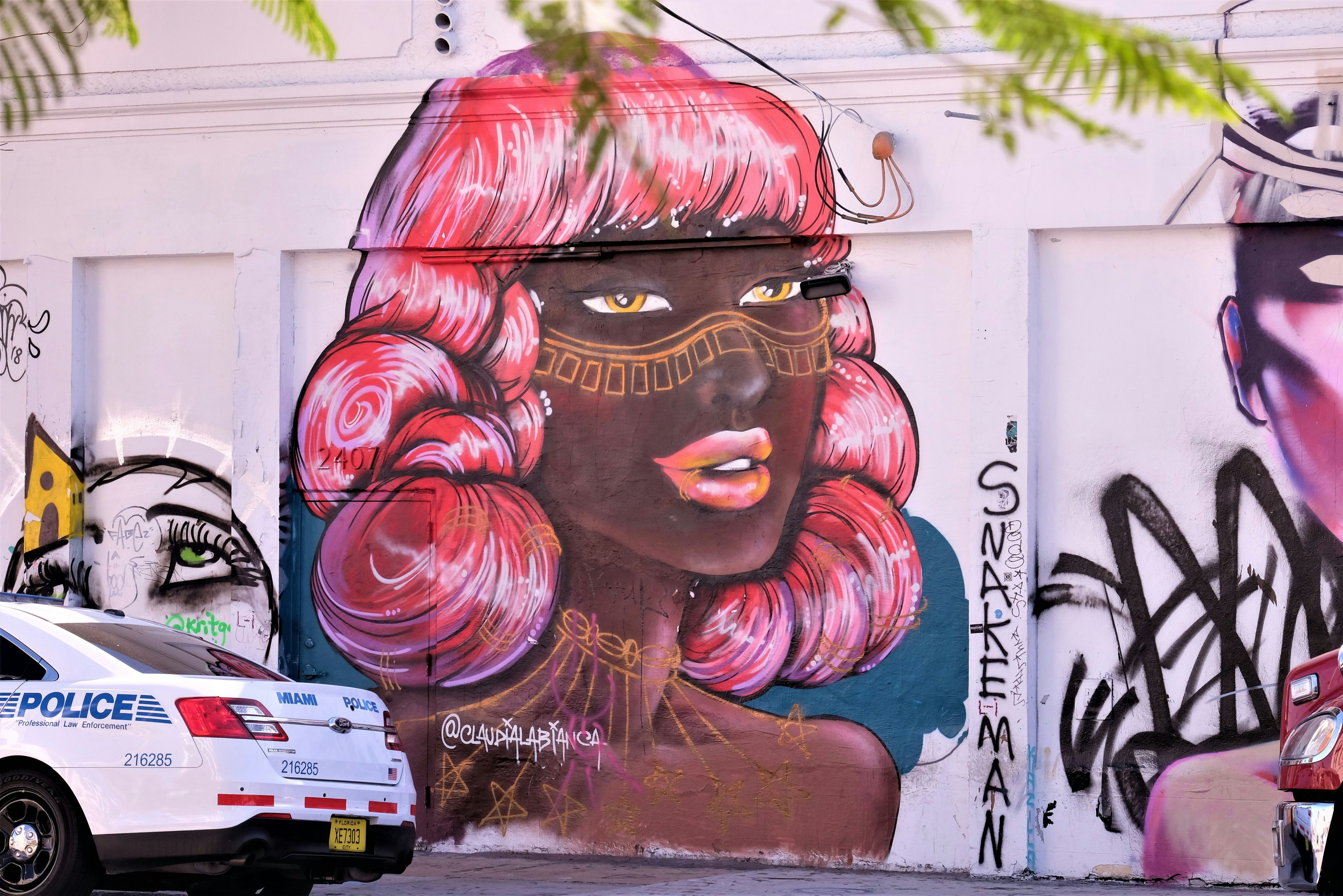 Amerika Florida Miami Wynwood Street Art