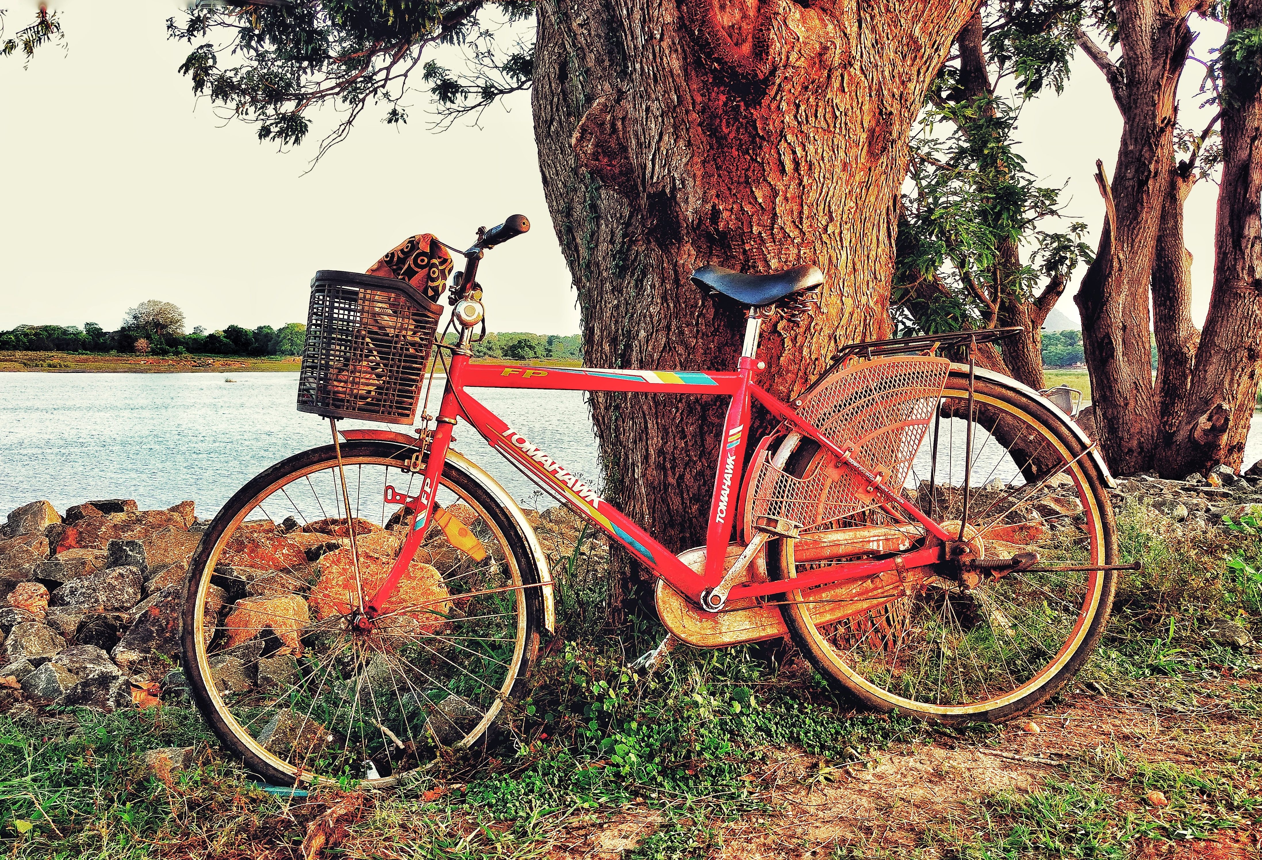 Fiets in Anuradhapura